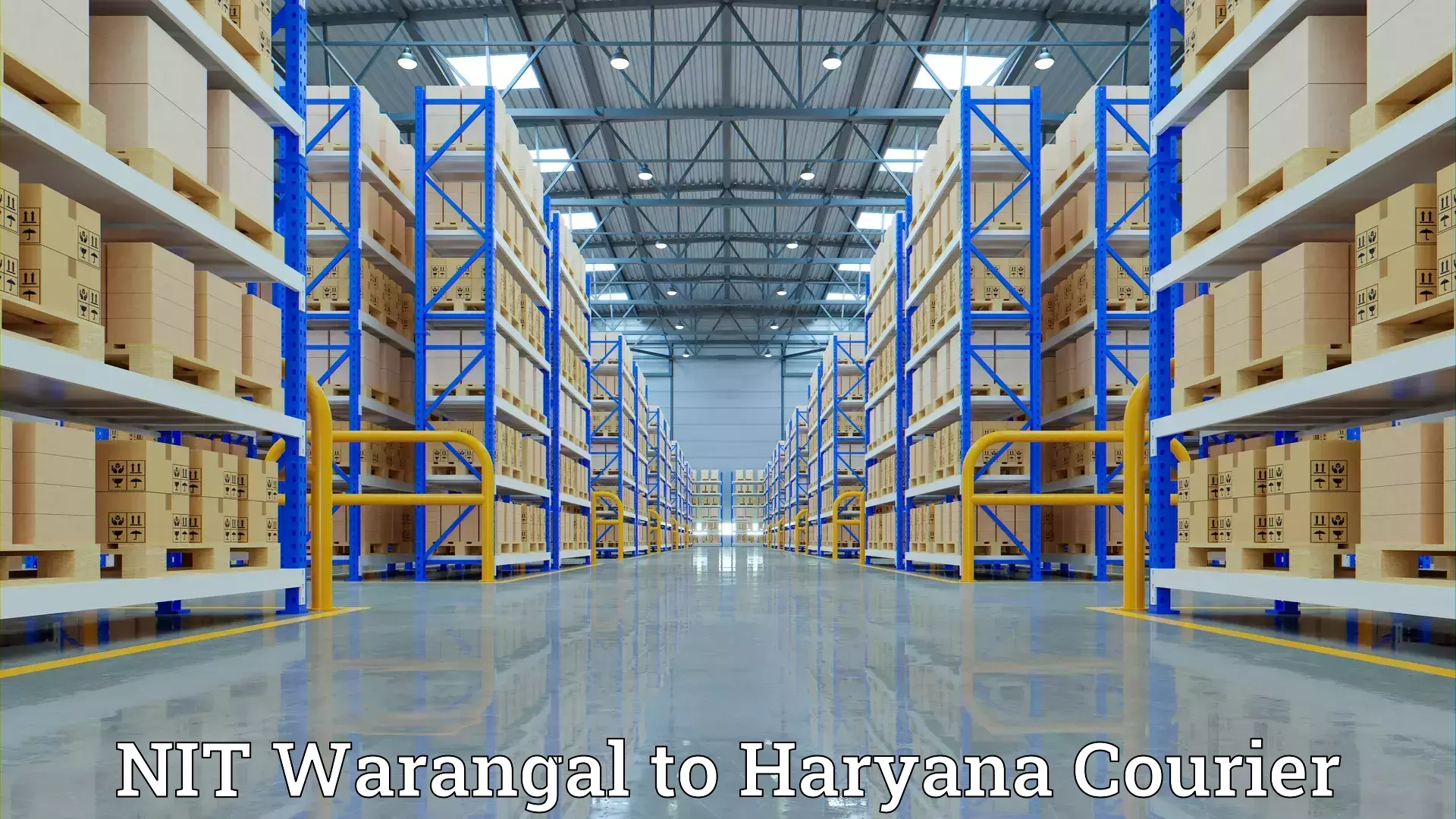 Quick household relocation NIT Warangal to Haryana