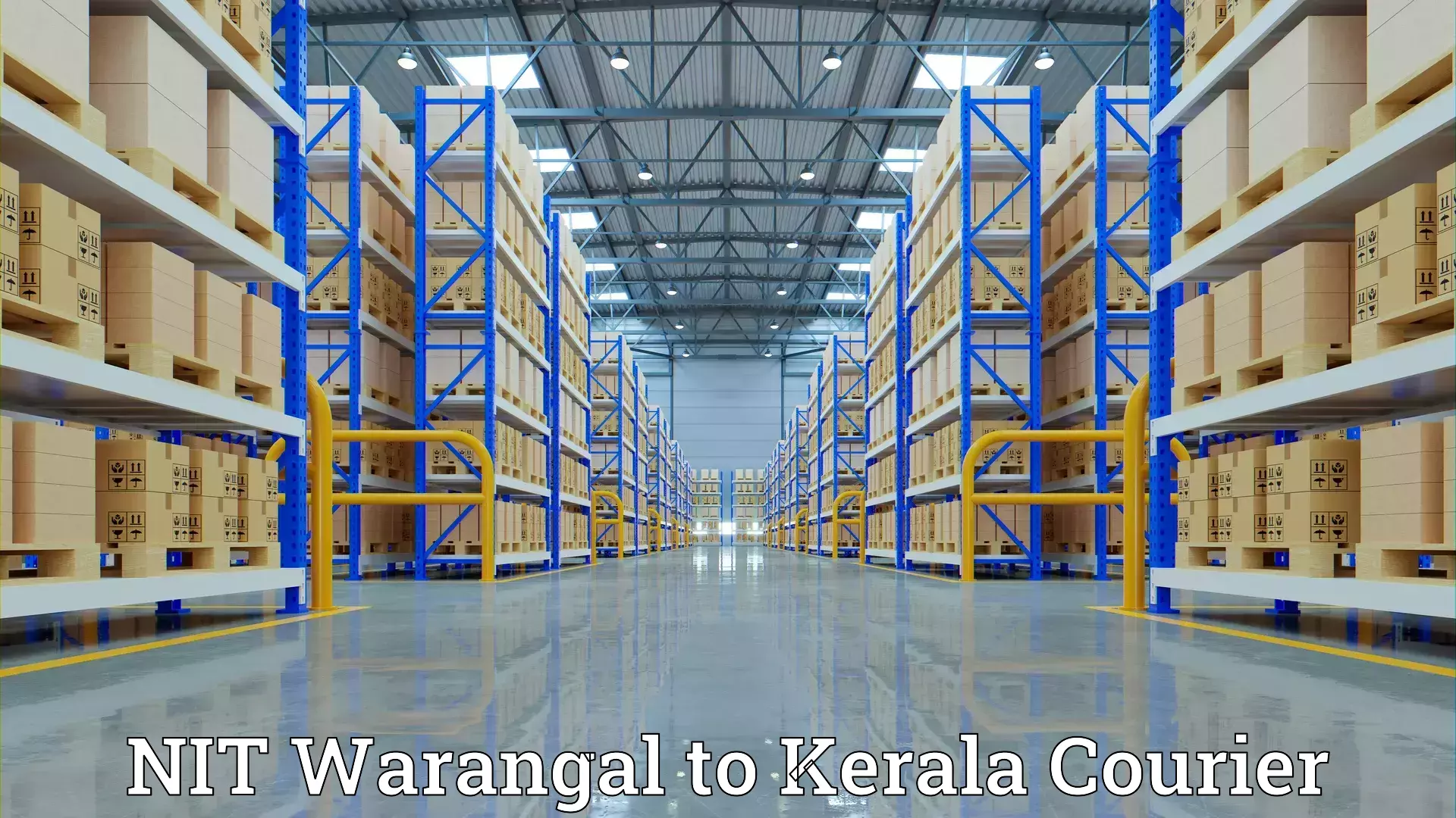 Professional furniture transport NIT Warangal to Kerala