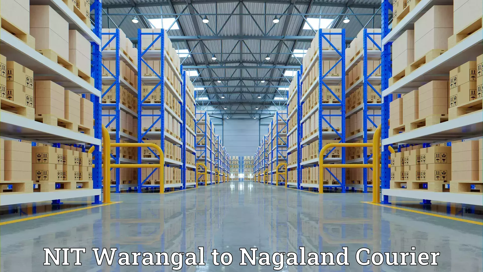 Quality moving company NIT Warangal to Nagaland