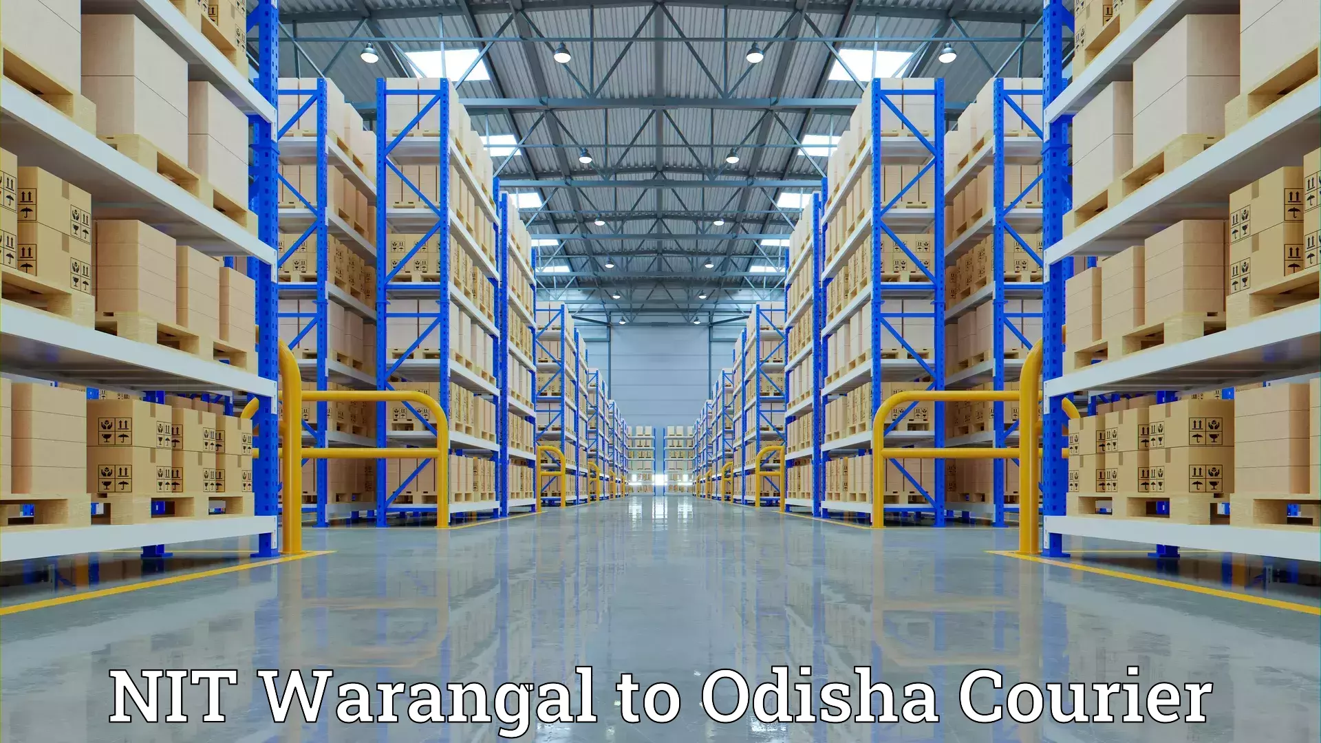 Efficient moving strategies NIT Warangal to Odisha