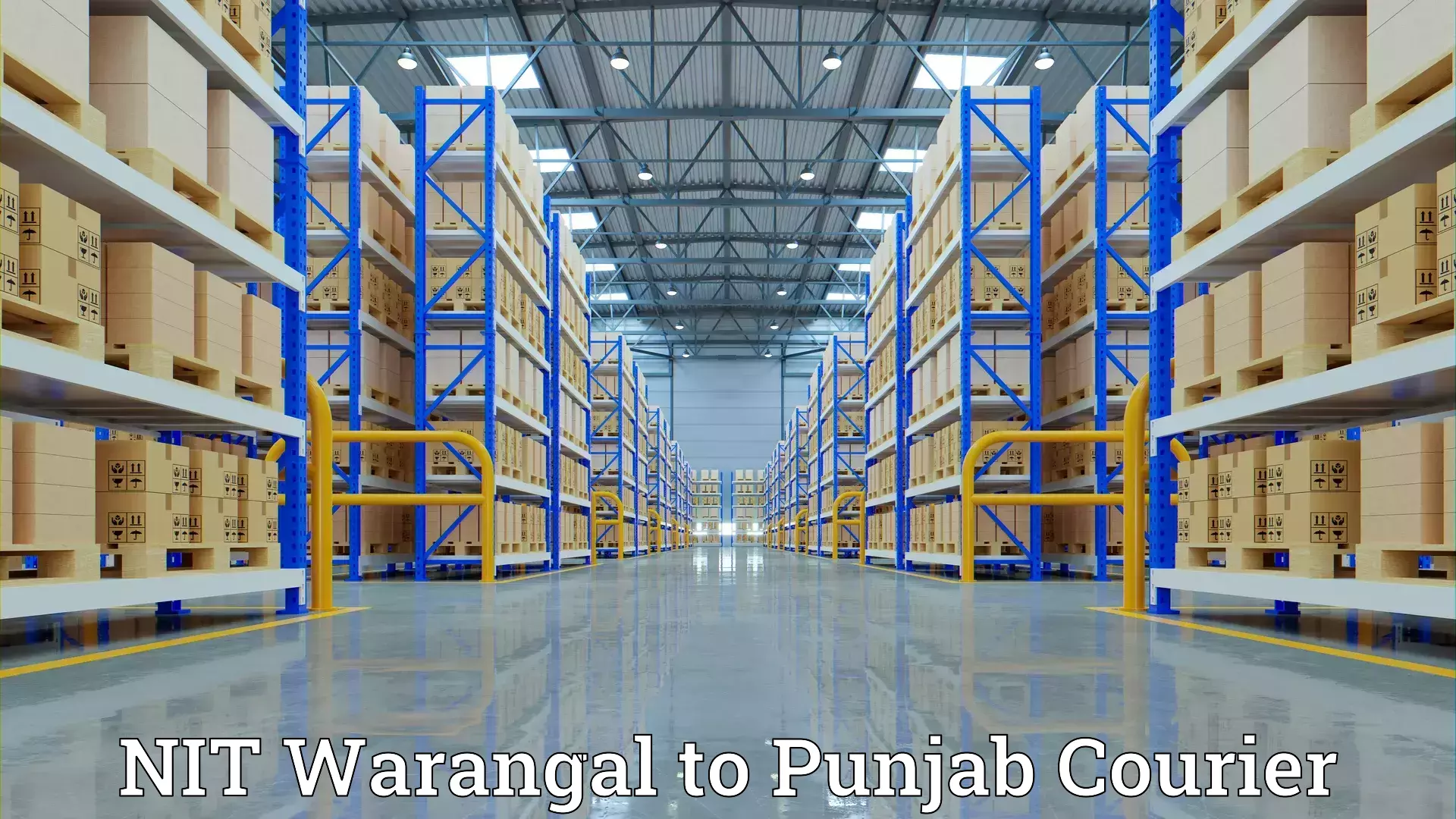 Expert furniture transport NIT Warangal to Goindwal Sahib