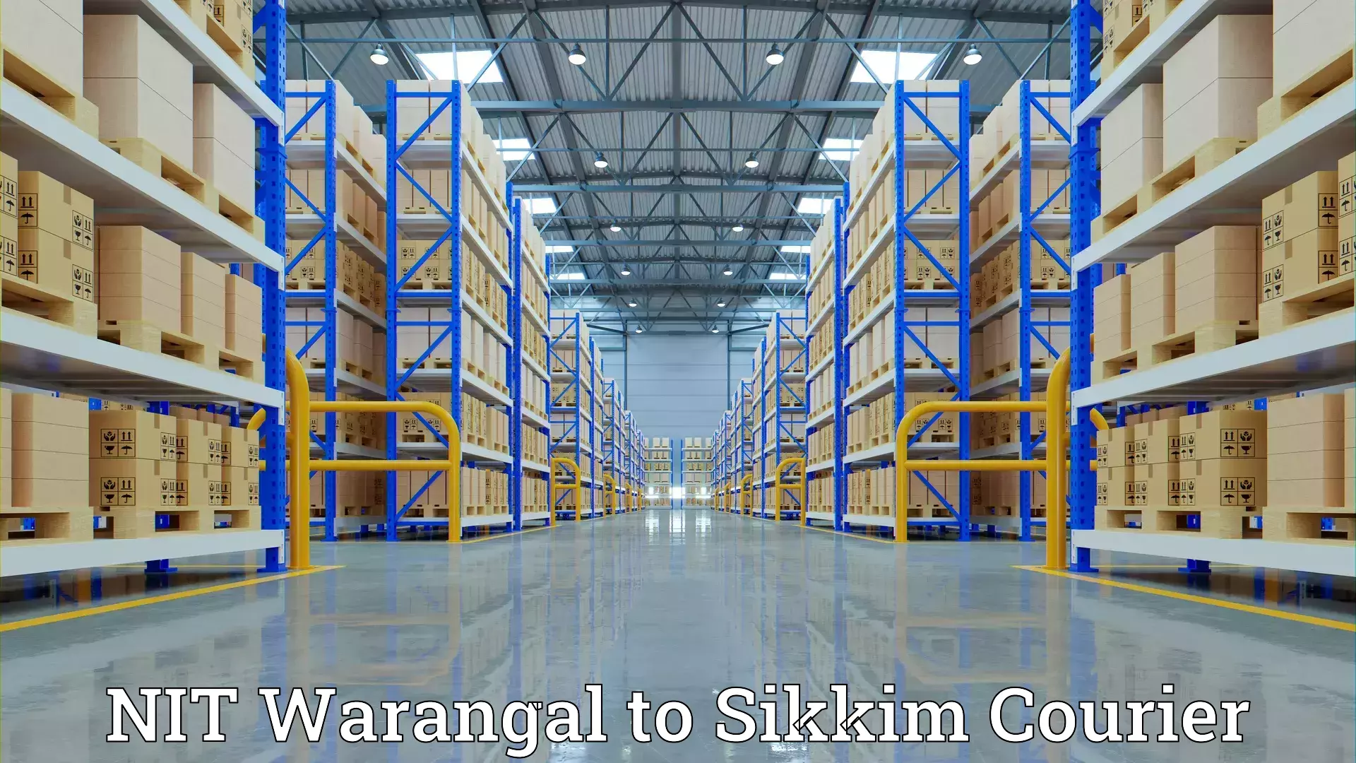 Professional home shifting NIT Warangal to East Sikkim