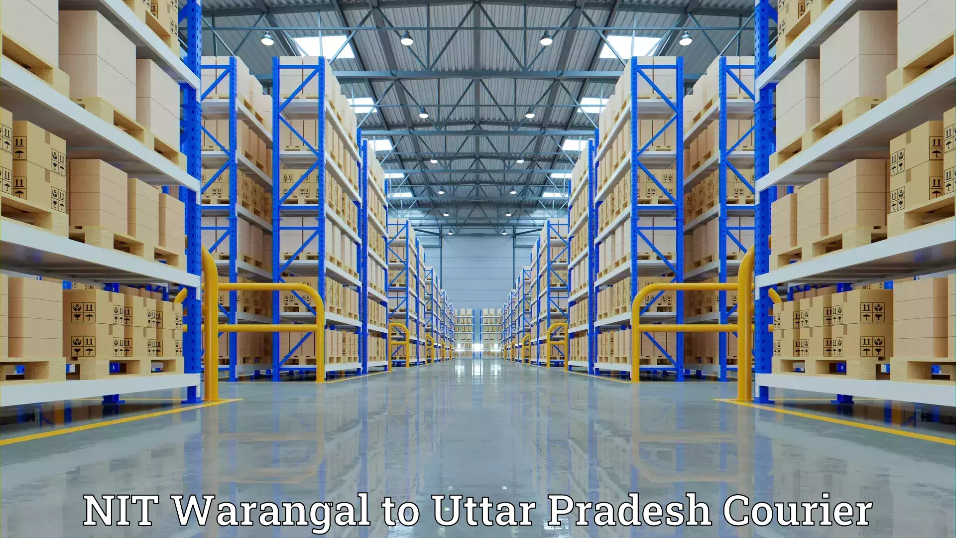 Furniture transport services NIT Warangal to Siddharthnagar