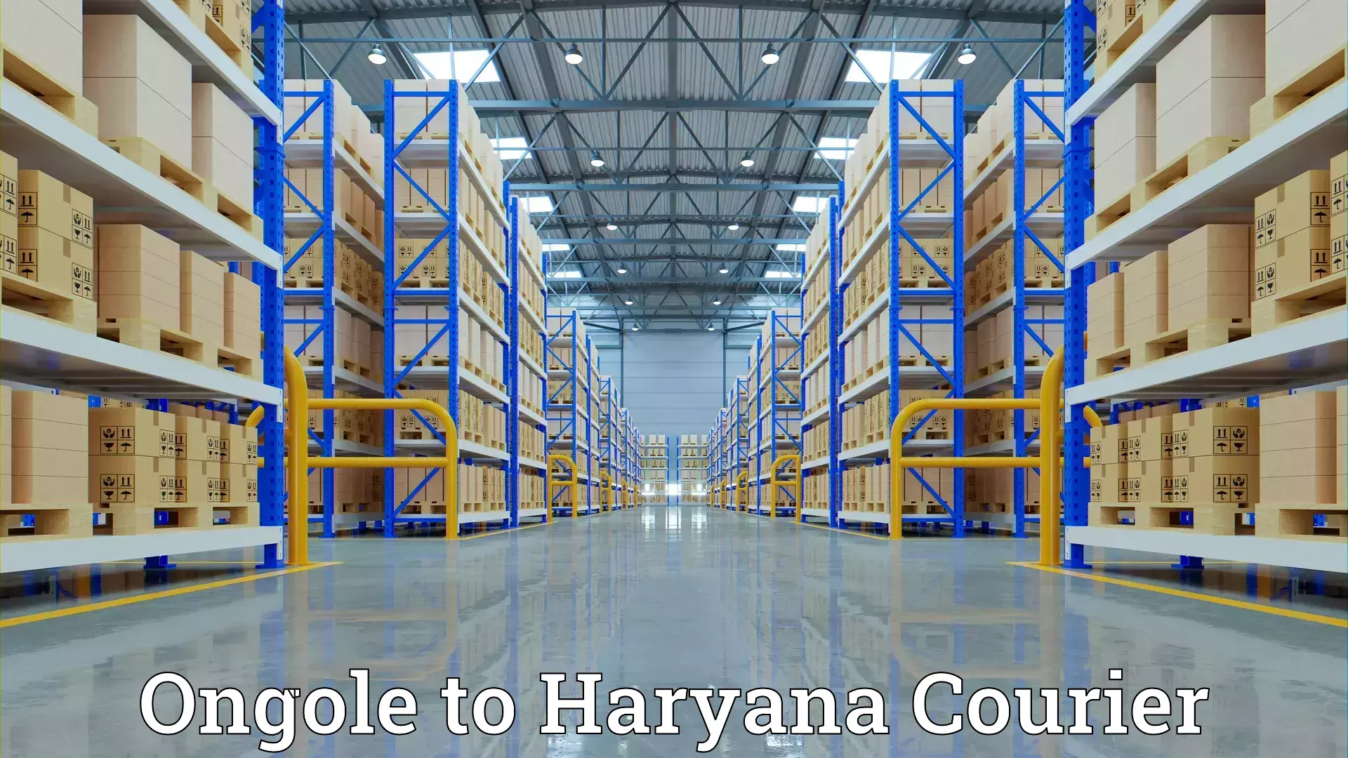 Household goods shipping Ongole to Fatehabad