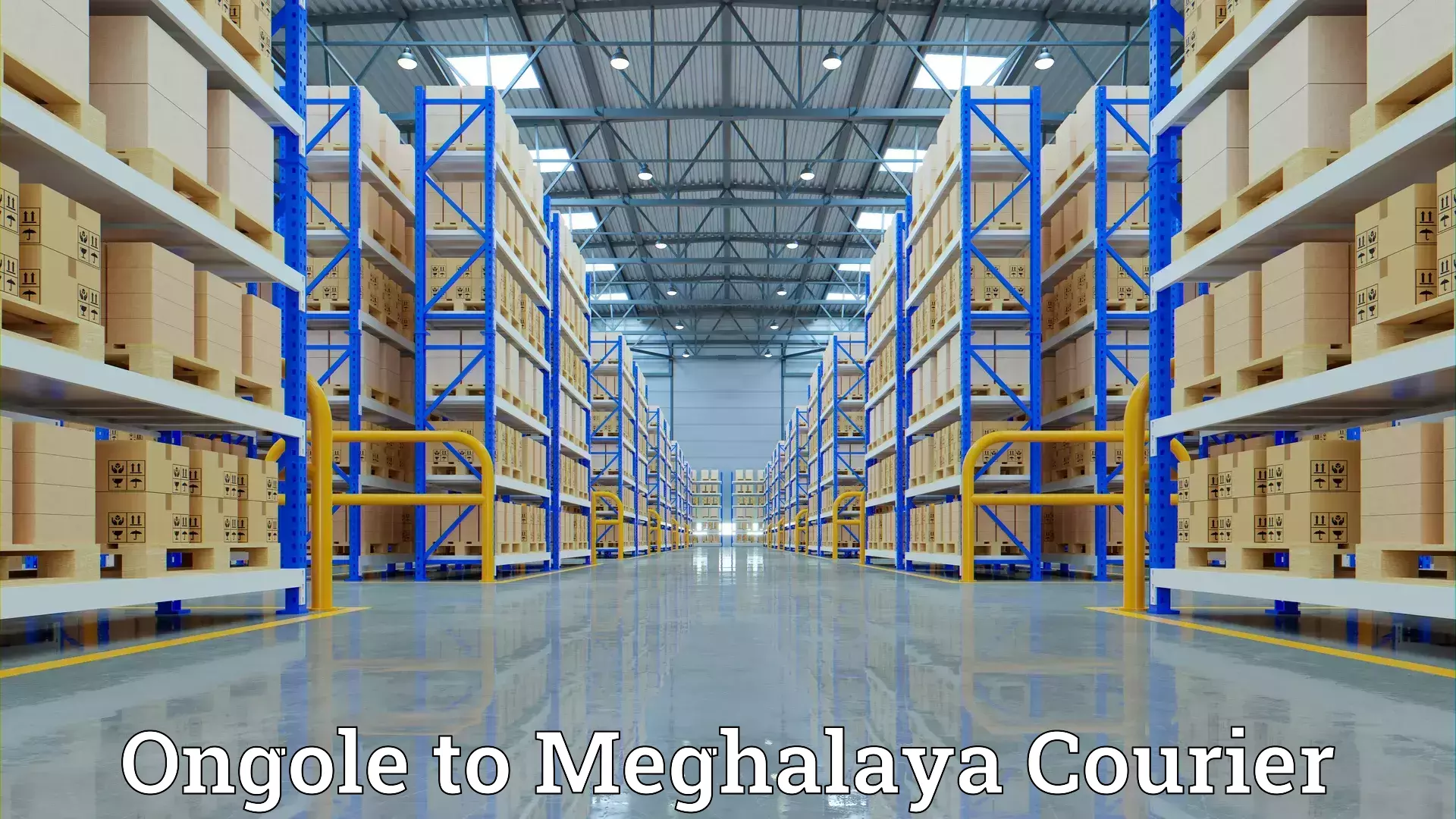 Easy furniture transport Ongole to Meghalaya