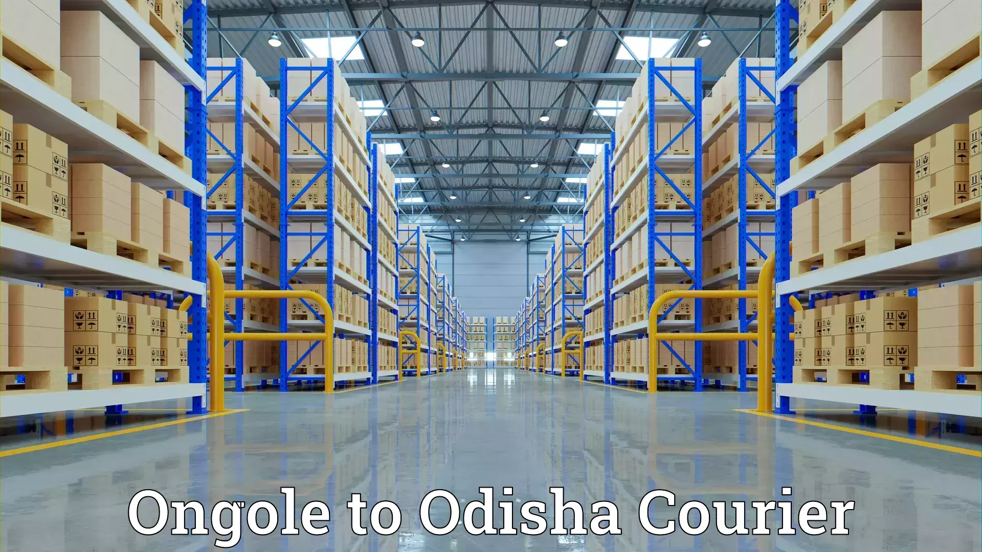 Skilled furniture transport Ongole to Jaleswar