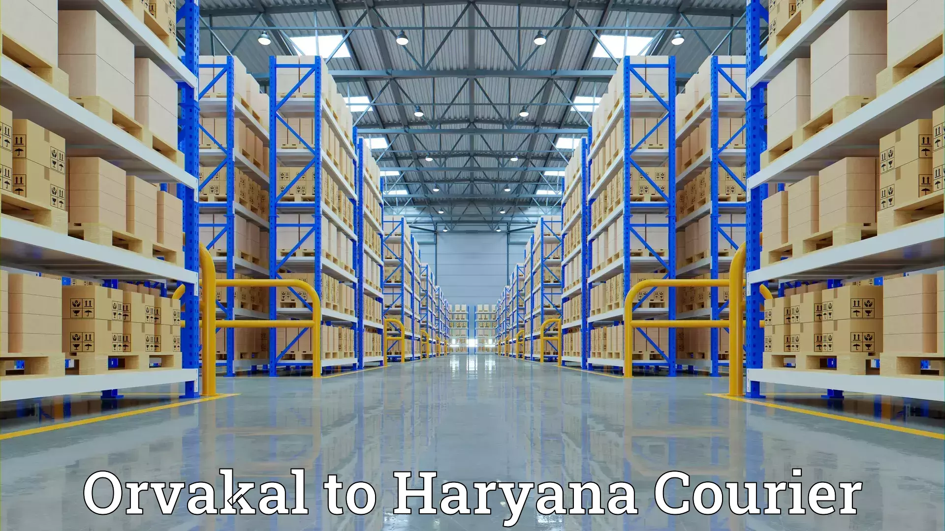 Quality furniture transport Orvakal to Panipat