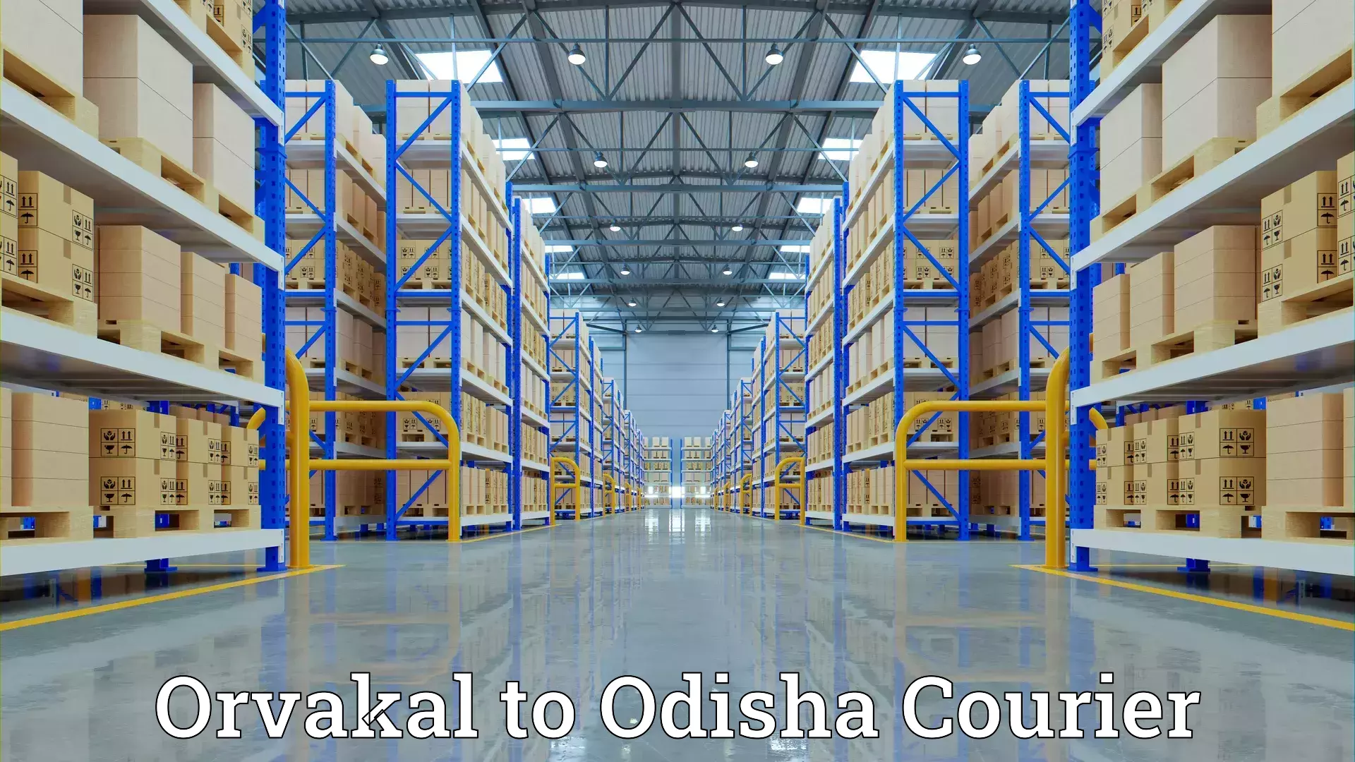 Home relocation experts Orvakal to Bargarh