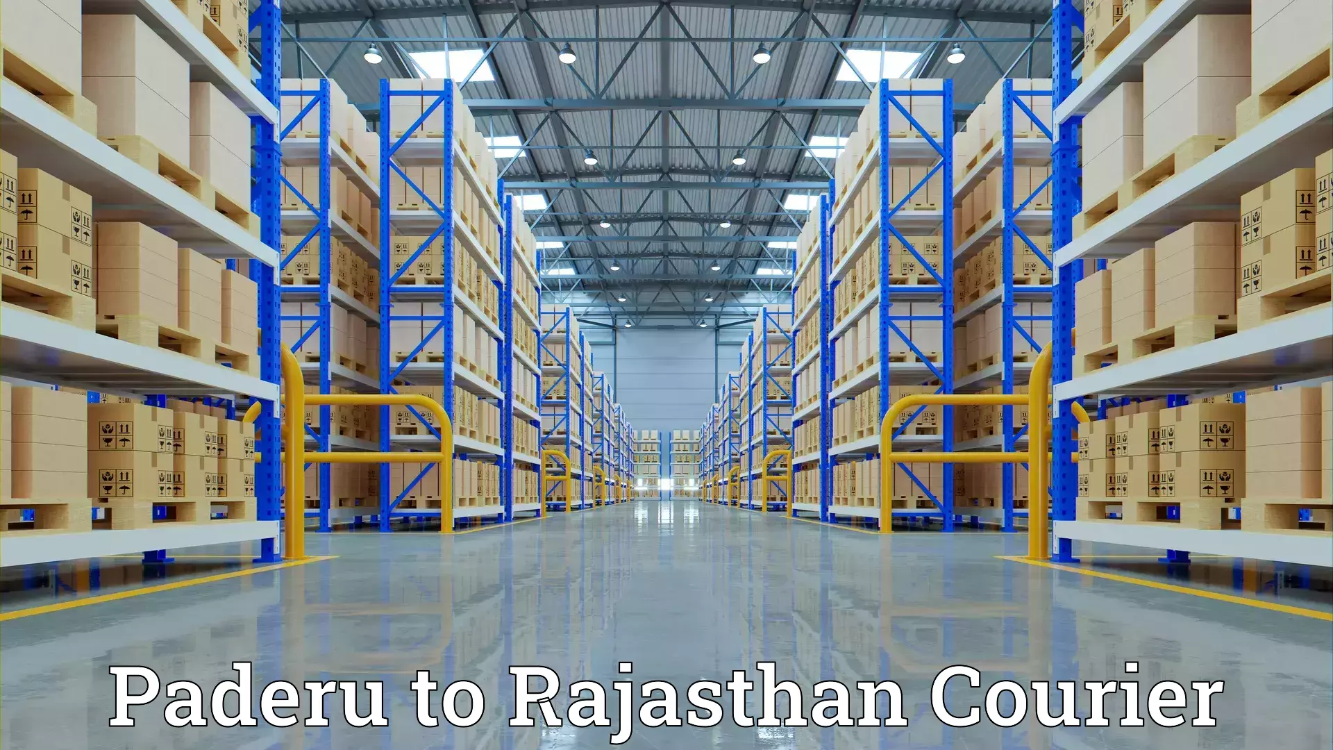 Comprehensive goods transport Paderu to Rawatsar