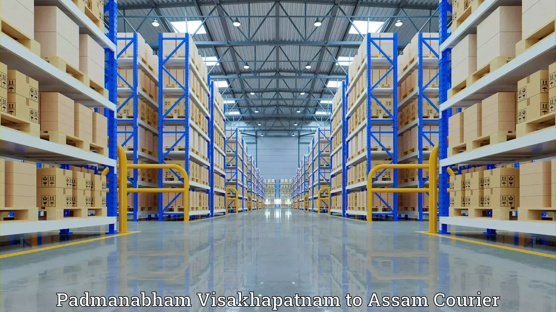 Affordable relocation solutions Padmanabham Visakhapatnam to Cachar