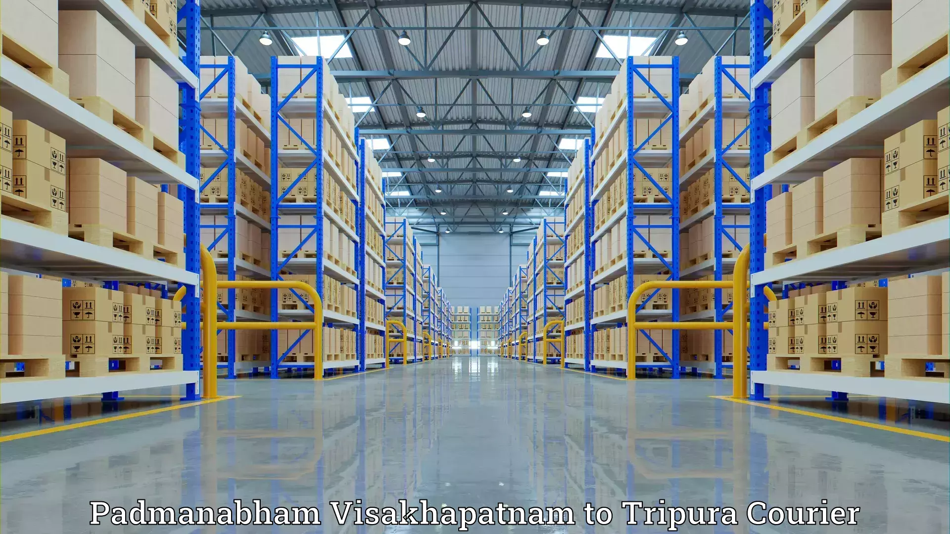 Effective moving solutions Padmanabham Visakhapatnam to Radhakishorepur