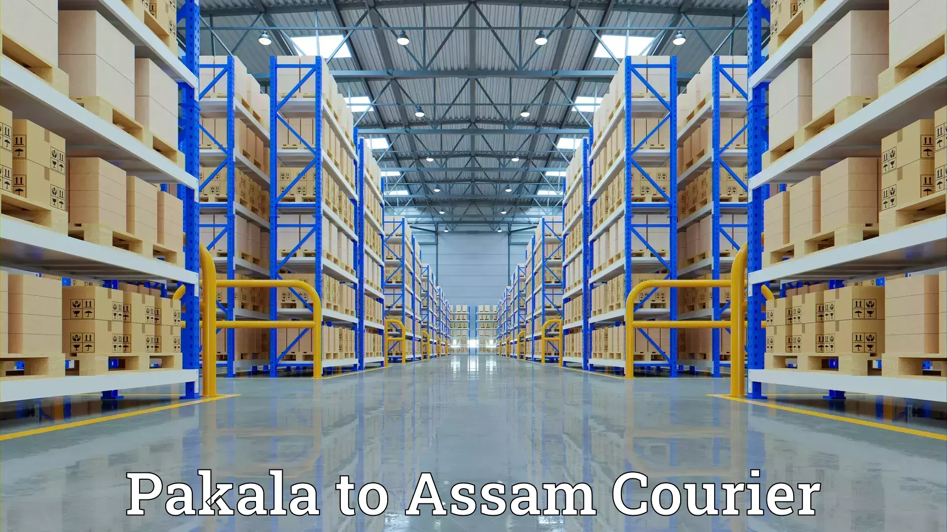 Custom furniture transport Pakala to Nagaon