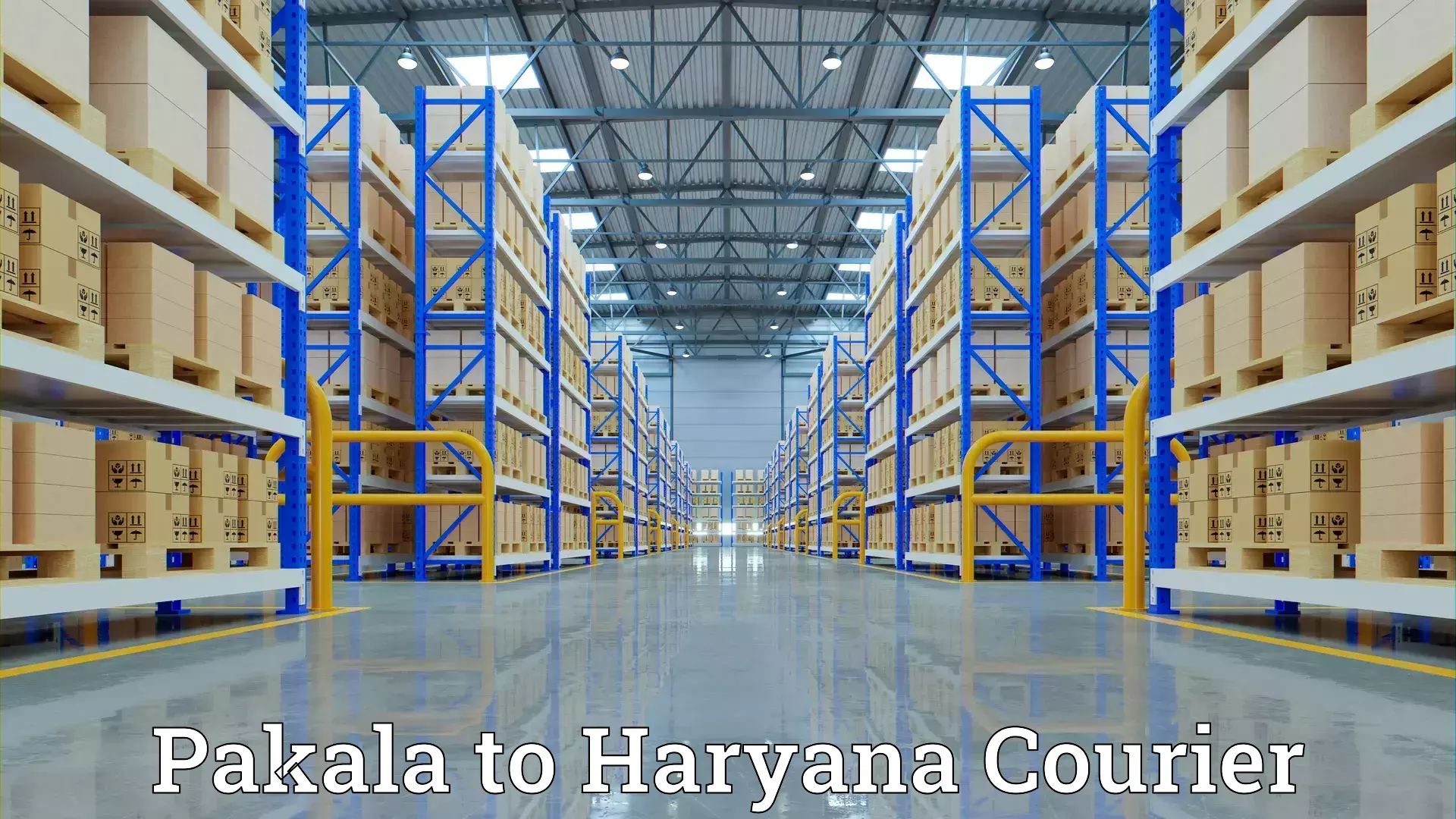 Furniture shipping services Pakala to Jhajjar