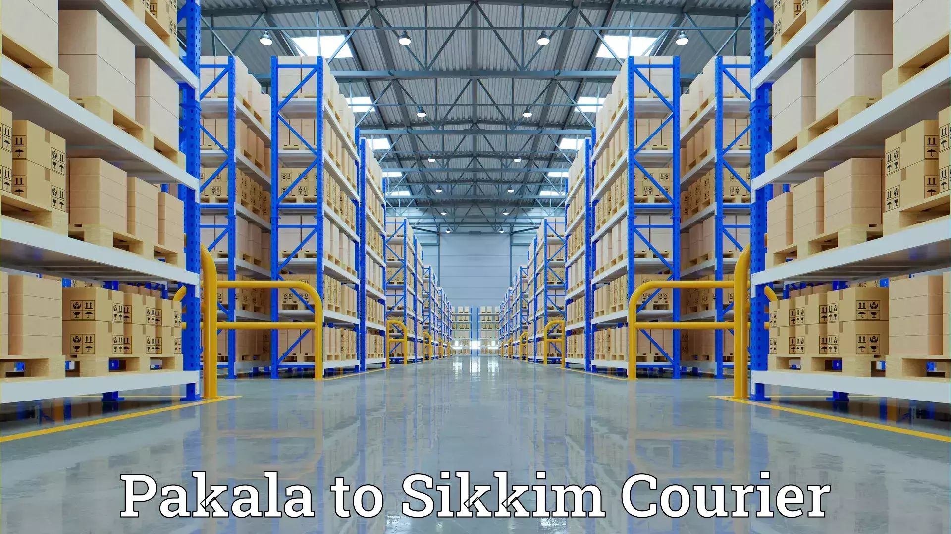 Cost-effective moving options Pakala to Sikkim