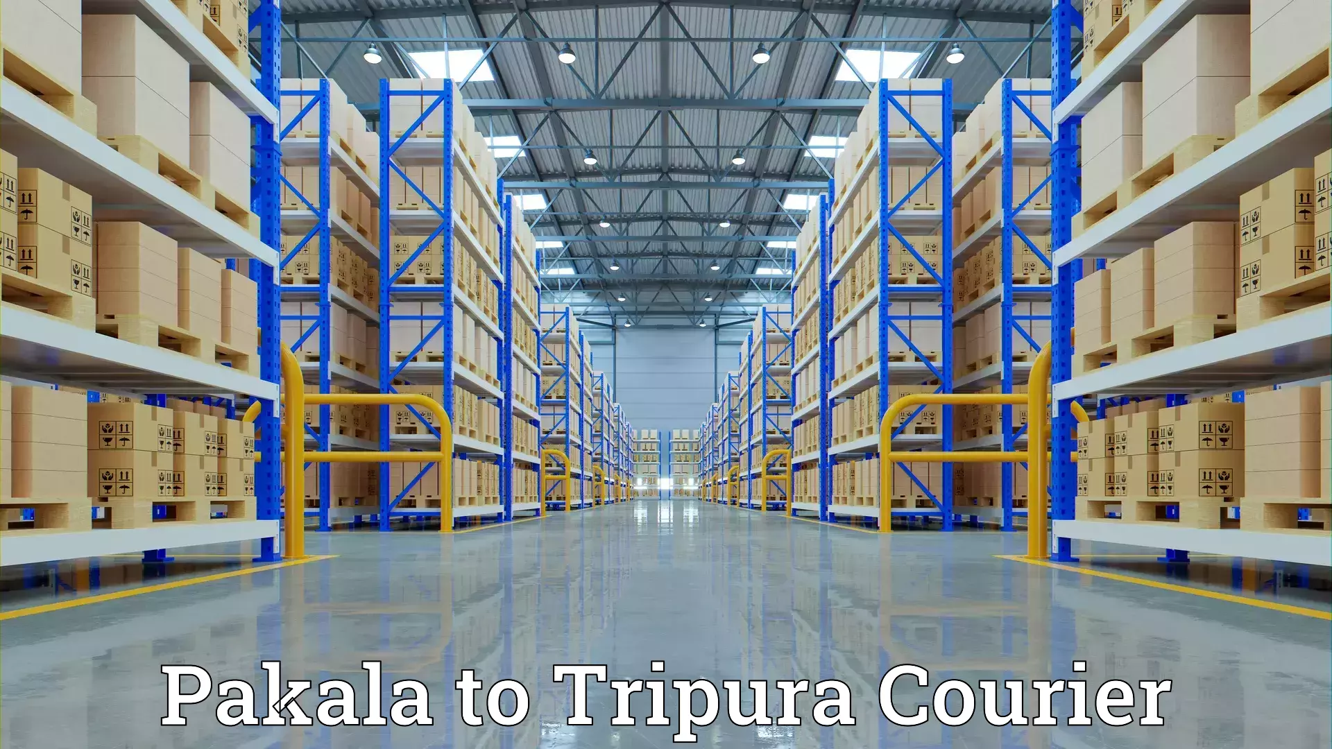 Home relocation services Pakala to Tripura