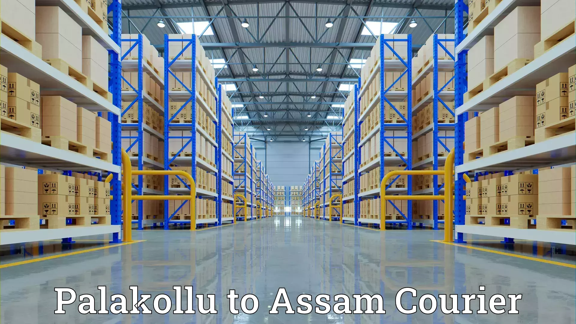 Furniture transport specialists Palakollu to Agomani