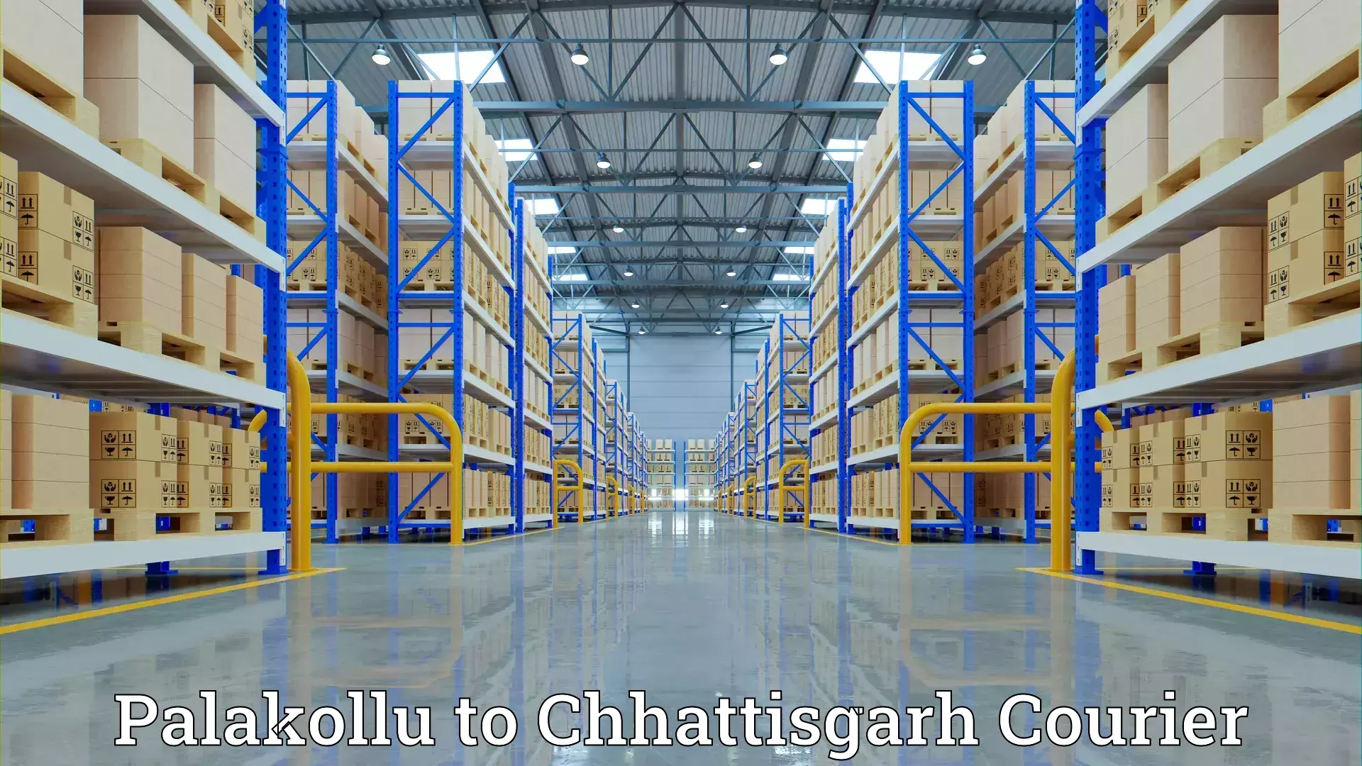 Household moving strategies Palakollu to Khairagarh