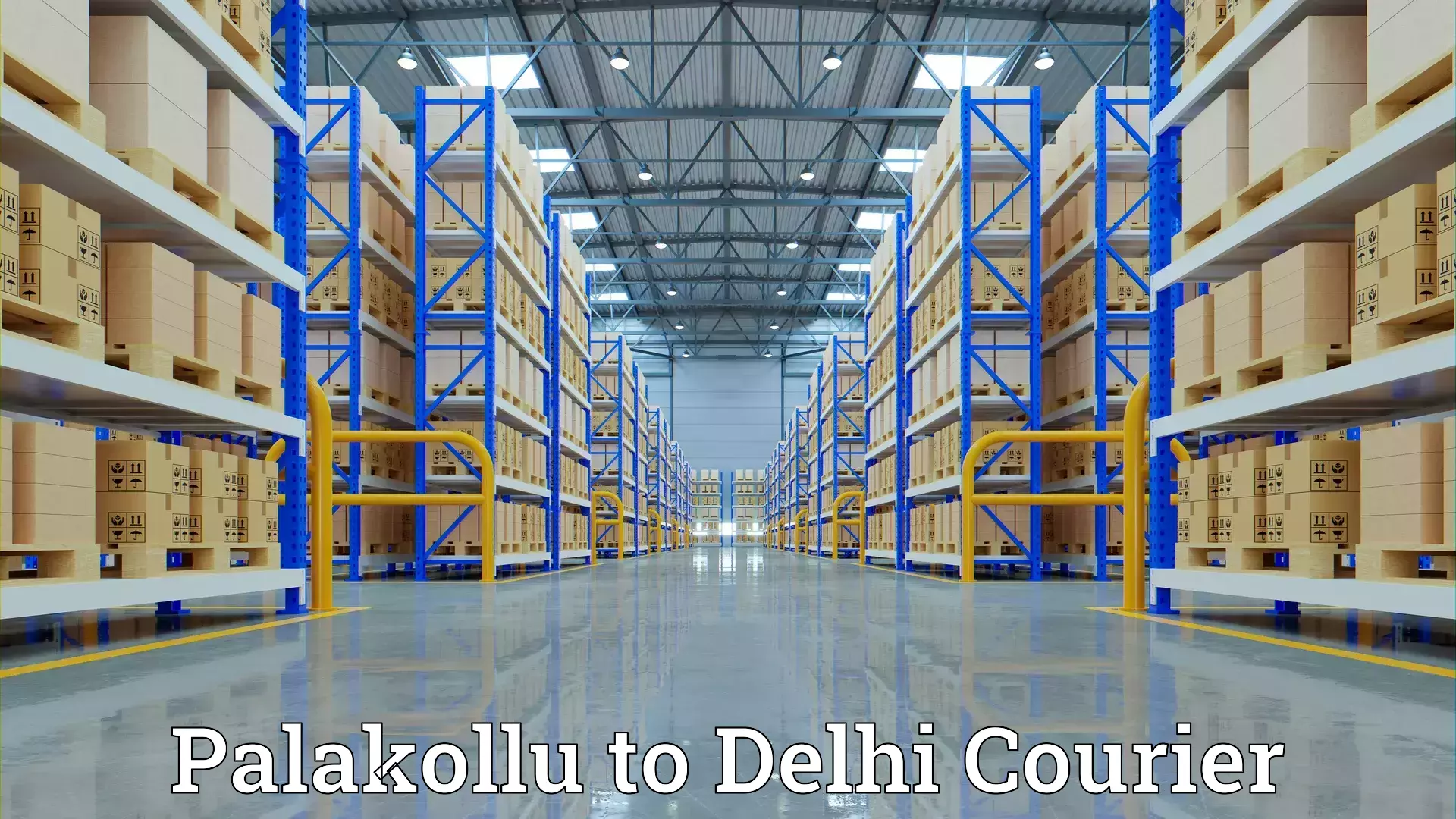 Affordable relocation solutions Palakollu to Guru Gobind Singh Indraprastha University New Delhi