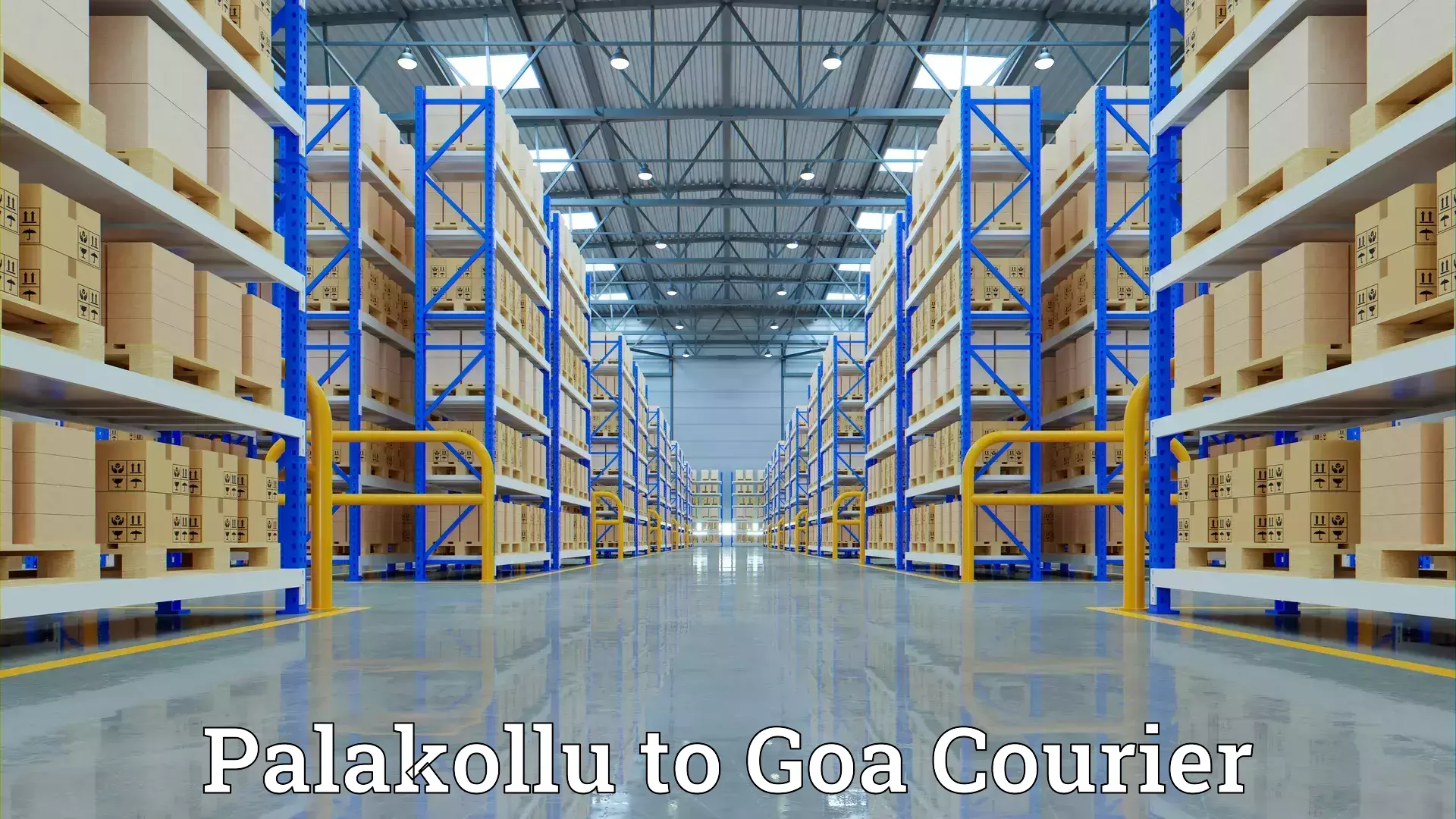 Professional goods transport in Palakollu to Bicholim