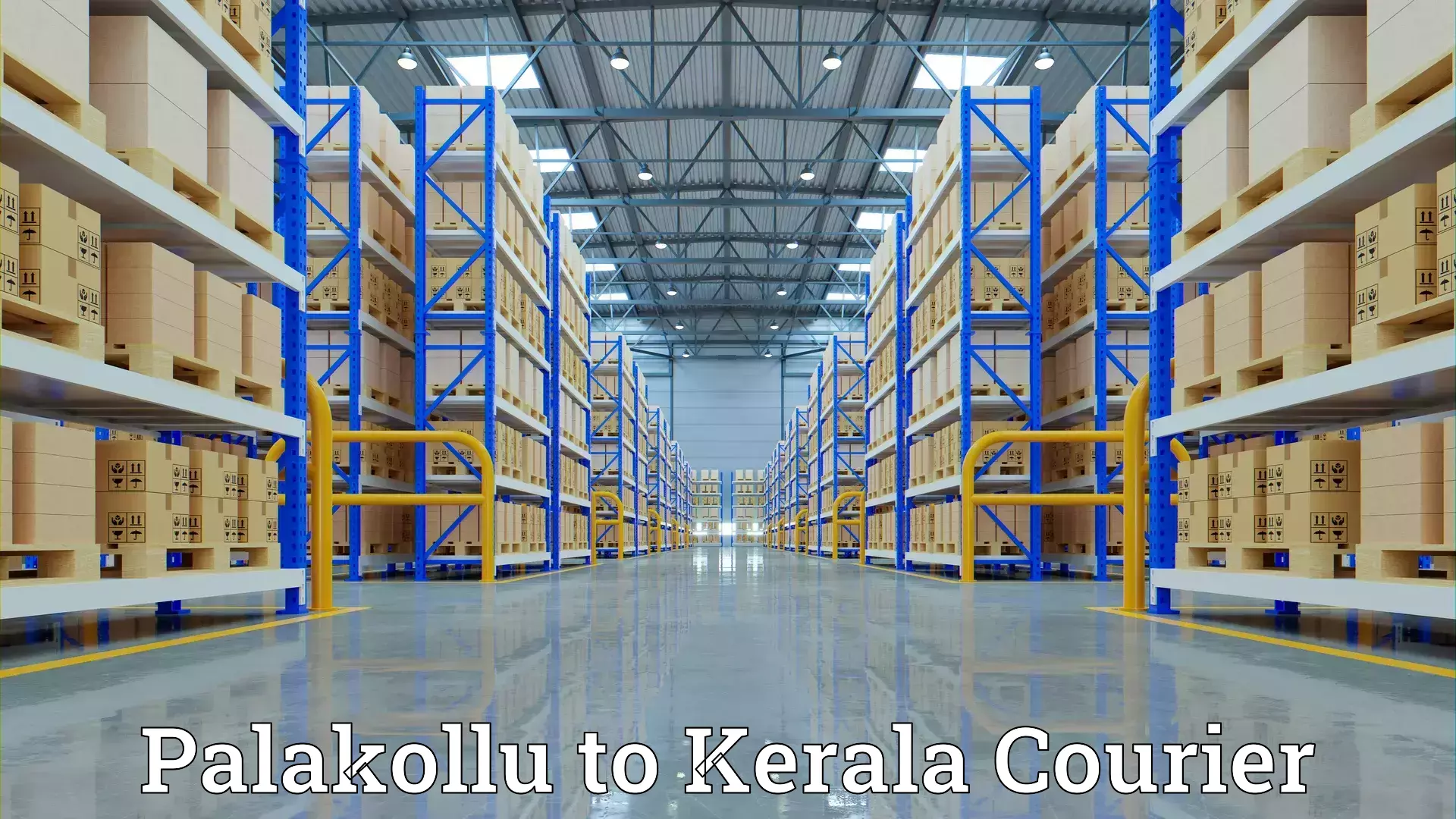 Professional goods transport Palakollu to Adur Kla