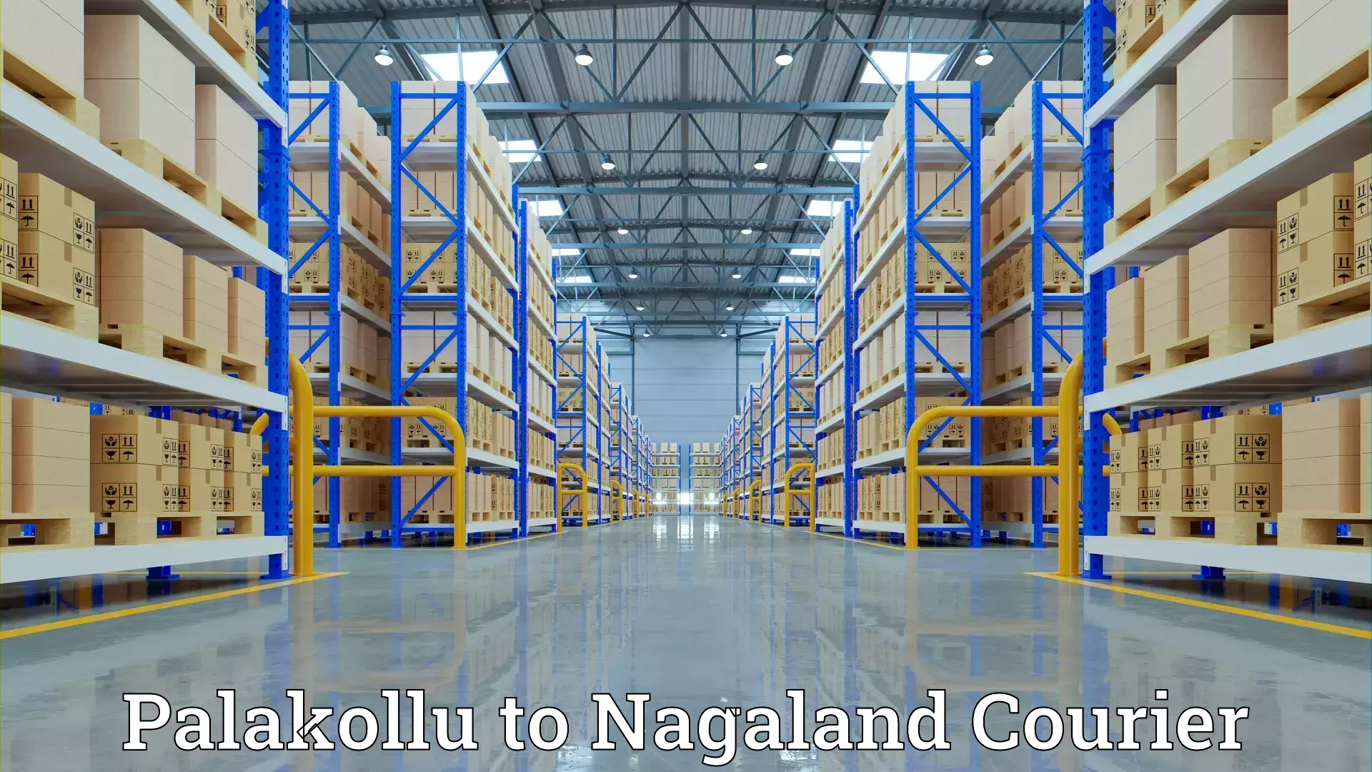 Personalized moving service in Palakollu to Nagaland