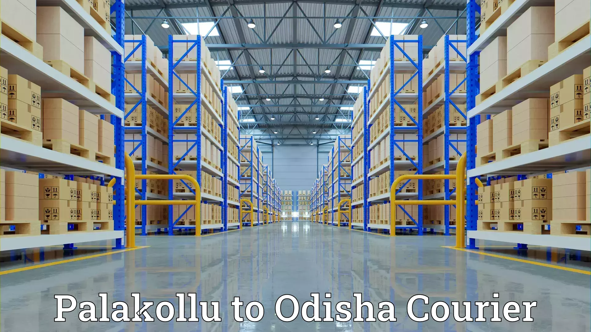 Reliable relocation services Palakollu to Digapahandi