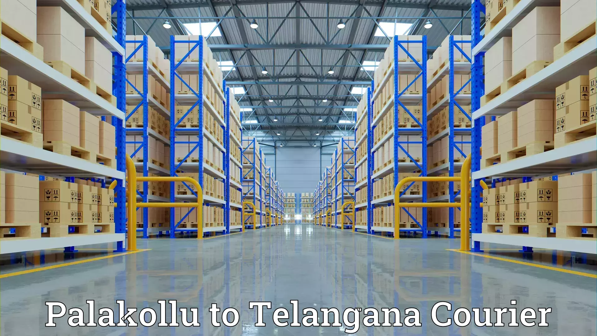 Affordable moving solutions Palakollu to Gangadhara