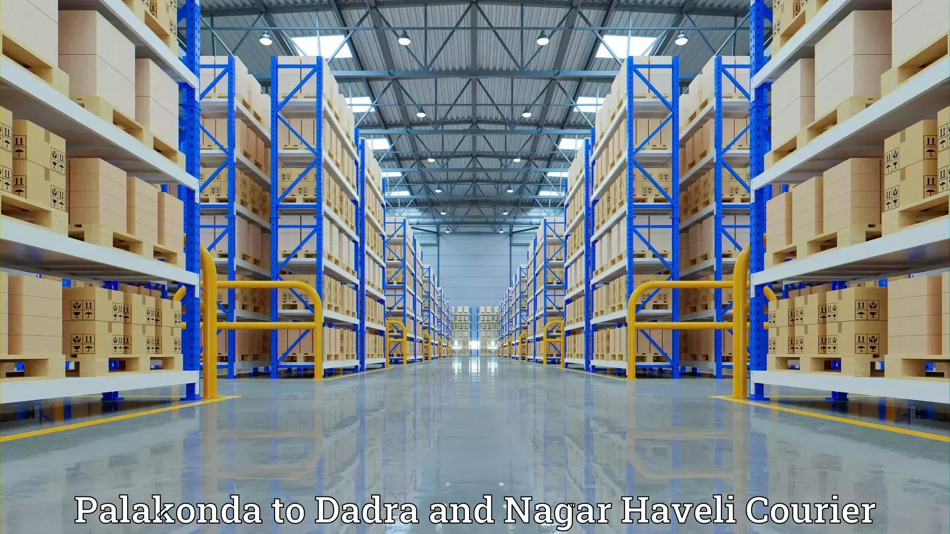 Quality moving company Palakonda to Dadra and Nagar Haveli