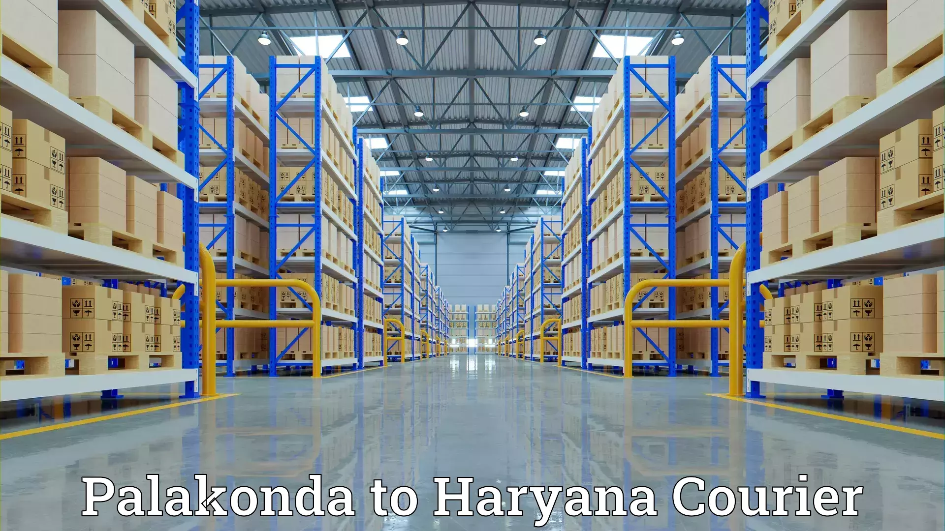 Professional furniture shifting Palakonda to NCR Haryana