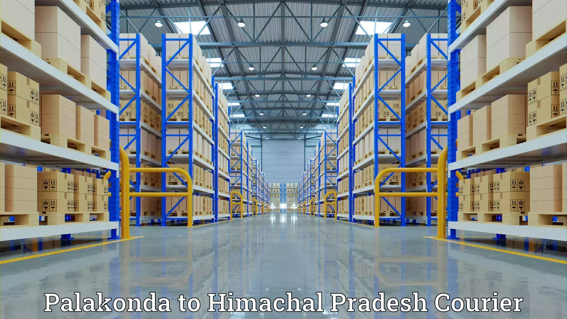 Efficient household moving Palakonda to Bilaspur Himachal Pradesh