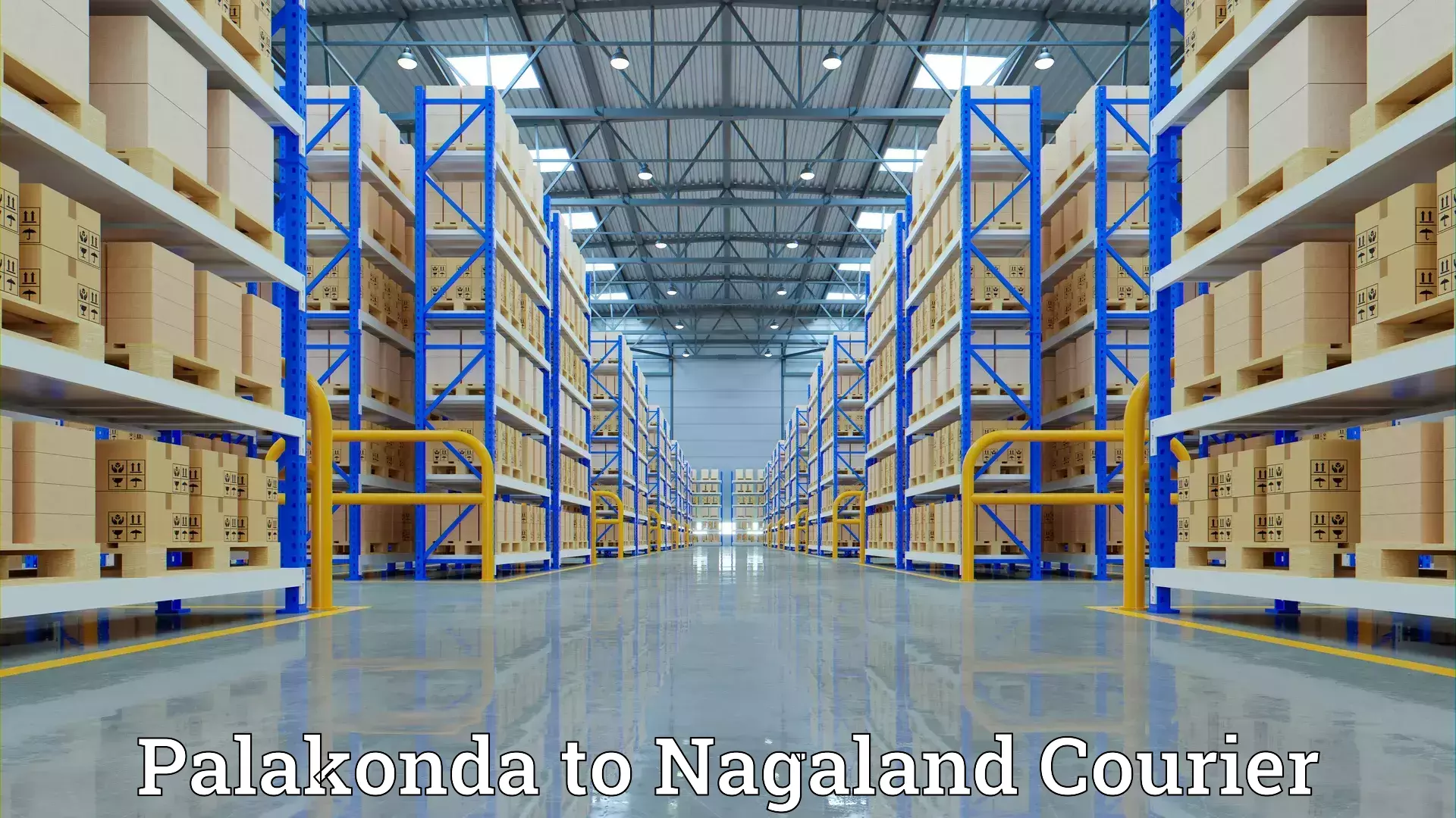 Custom moving solutions Palakonda to Nagaland