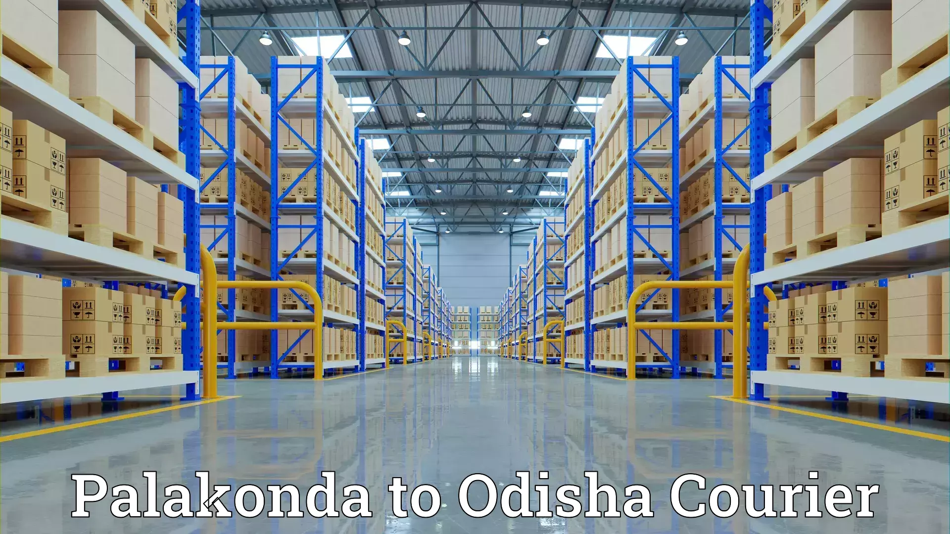 Safe moving services Palakonda to Odisha