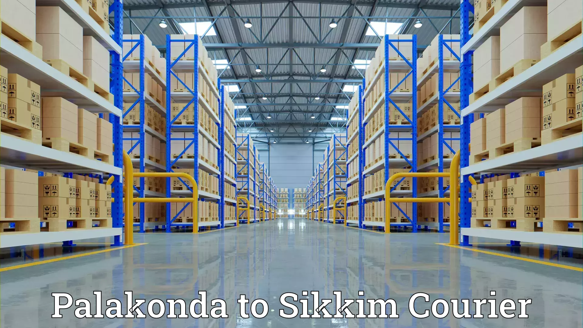 Comprehensive moving services Palakonda to South Sikkim