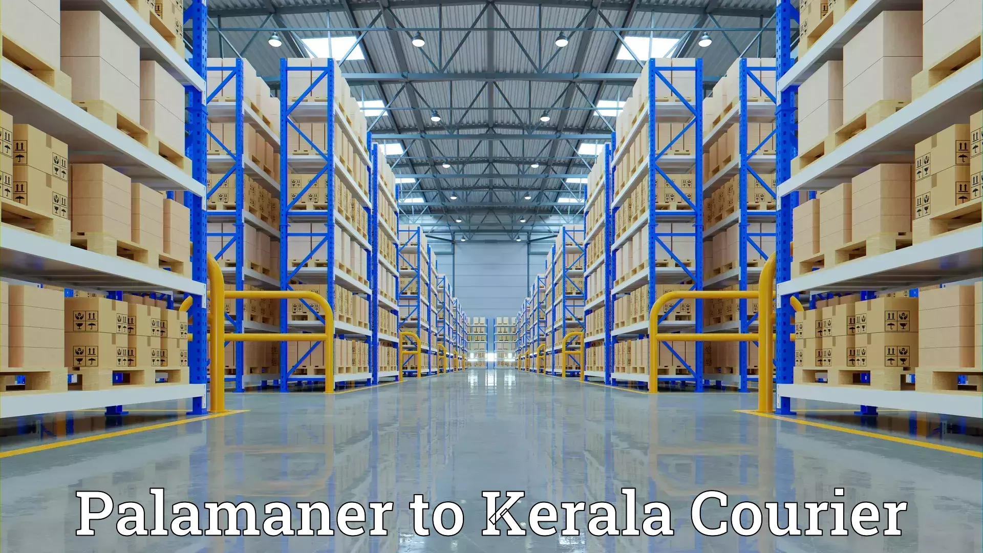 Professional goods transport Palamaner to Nedumangad