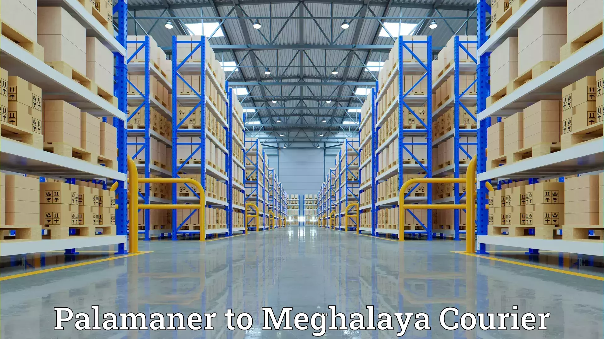 Professional moving strategies Palamaner to Meghalaya