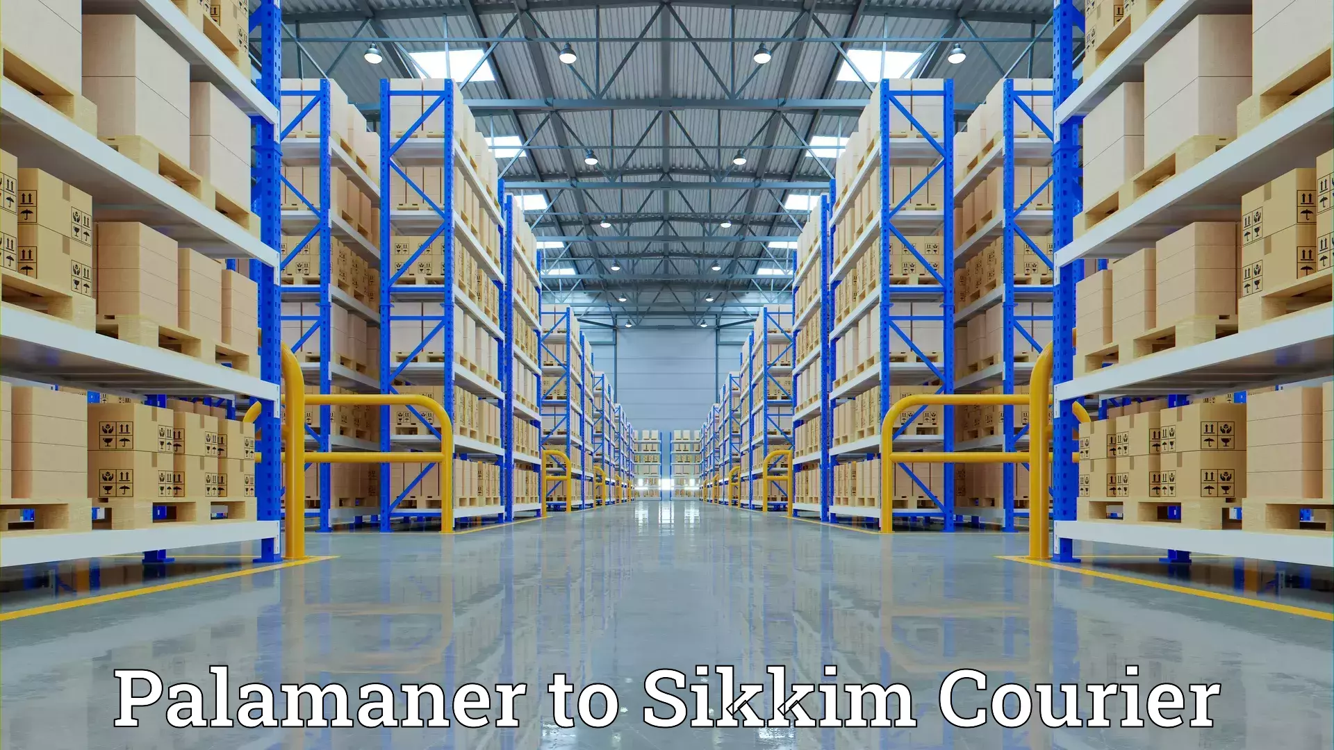 Efficient furniture movers Palamaner to Sikkim