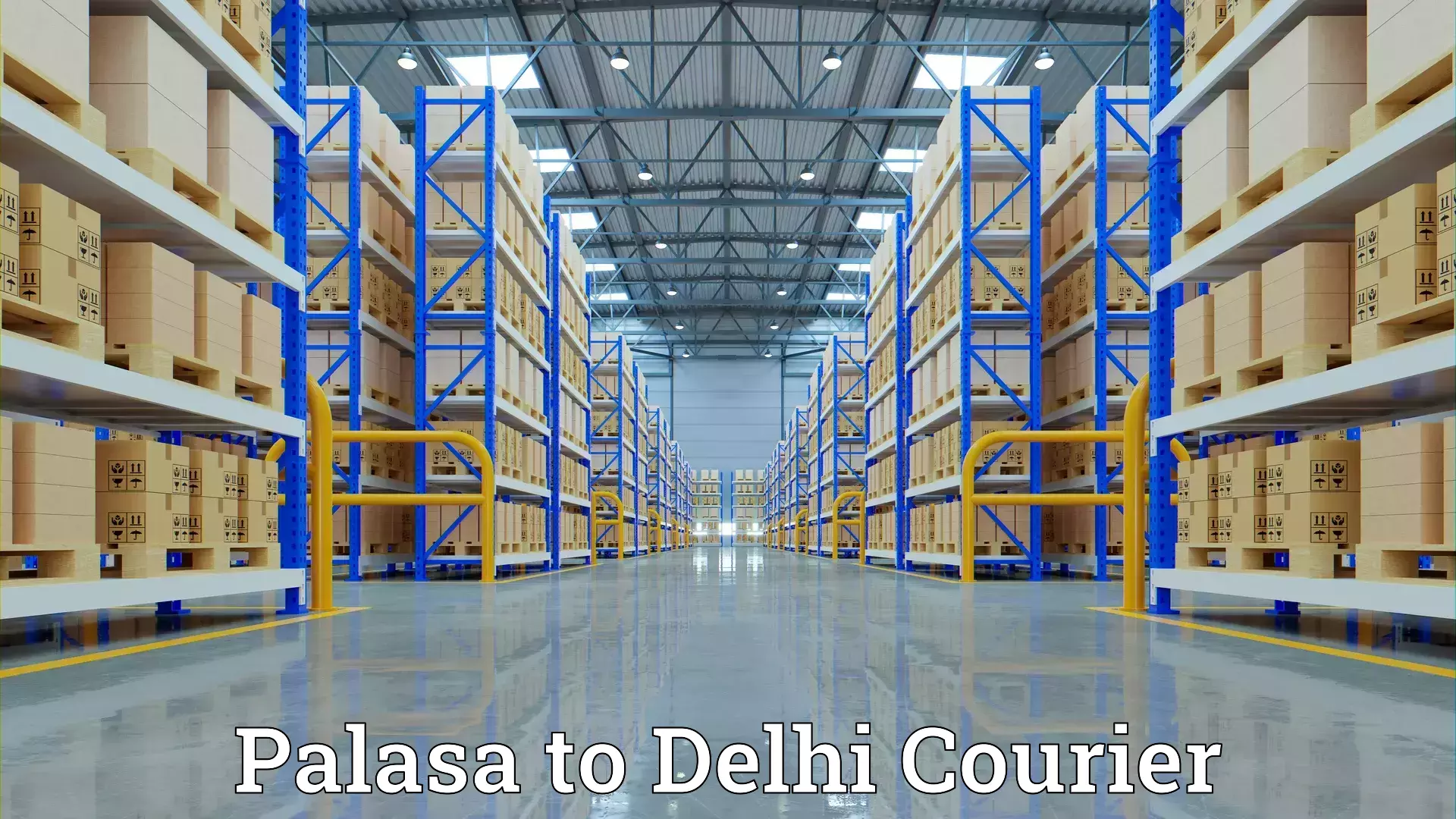 Expert moving solutions Palasa to IIT Delhi