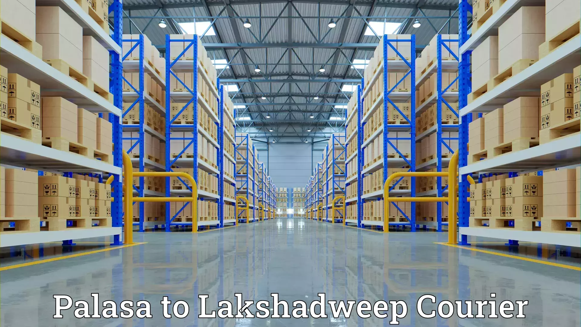 Professional moving company Palasa to Lakshadweep