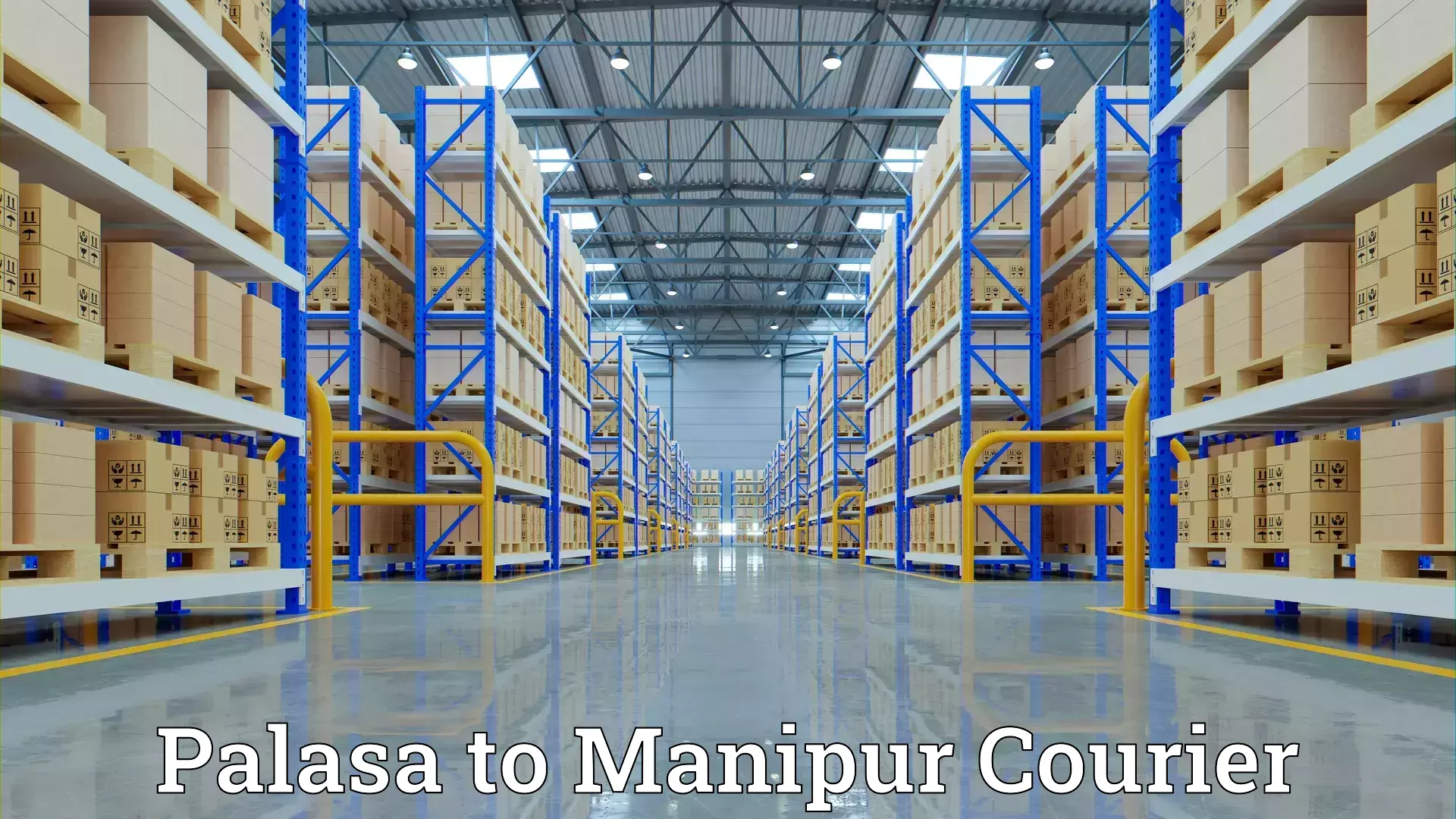 Expert relocation solutions Palasa to Manipur