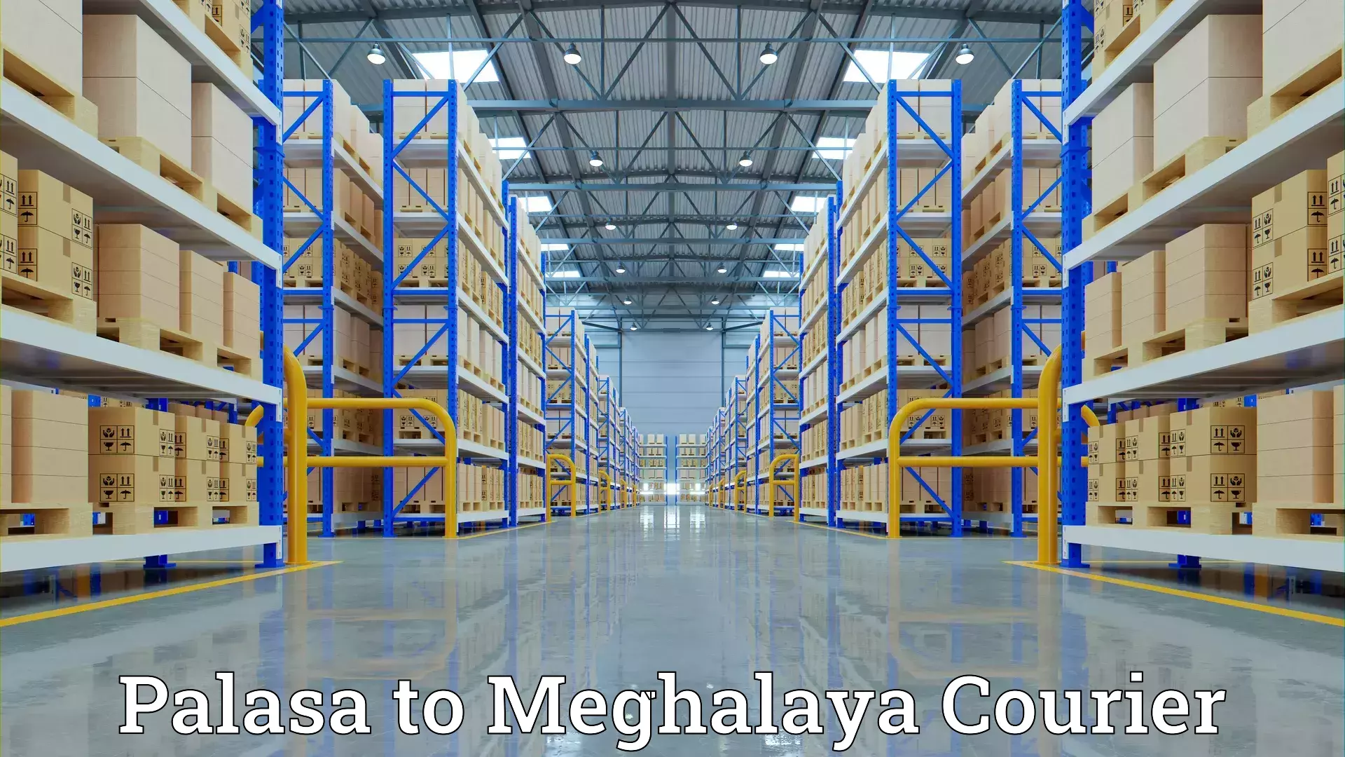 Budget-friendly movers Palasa to NIT Meghalaya