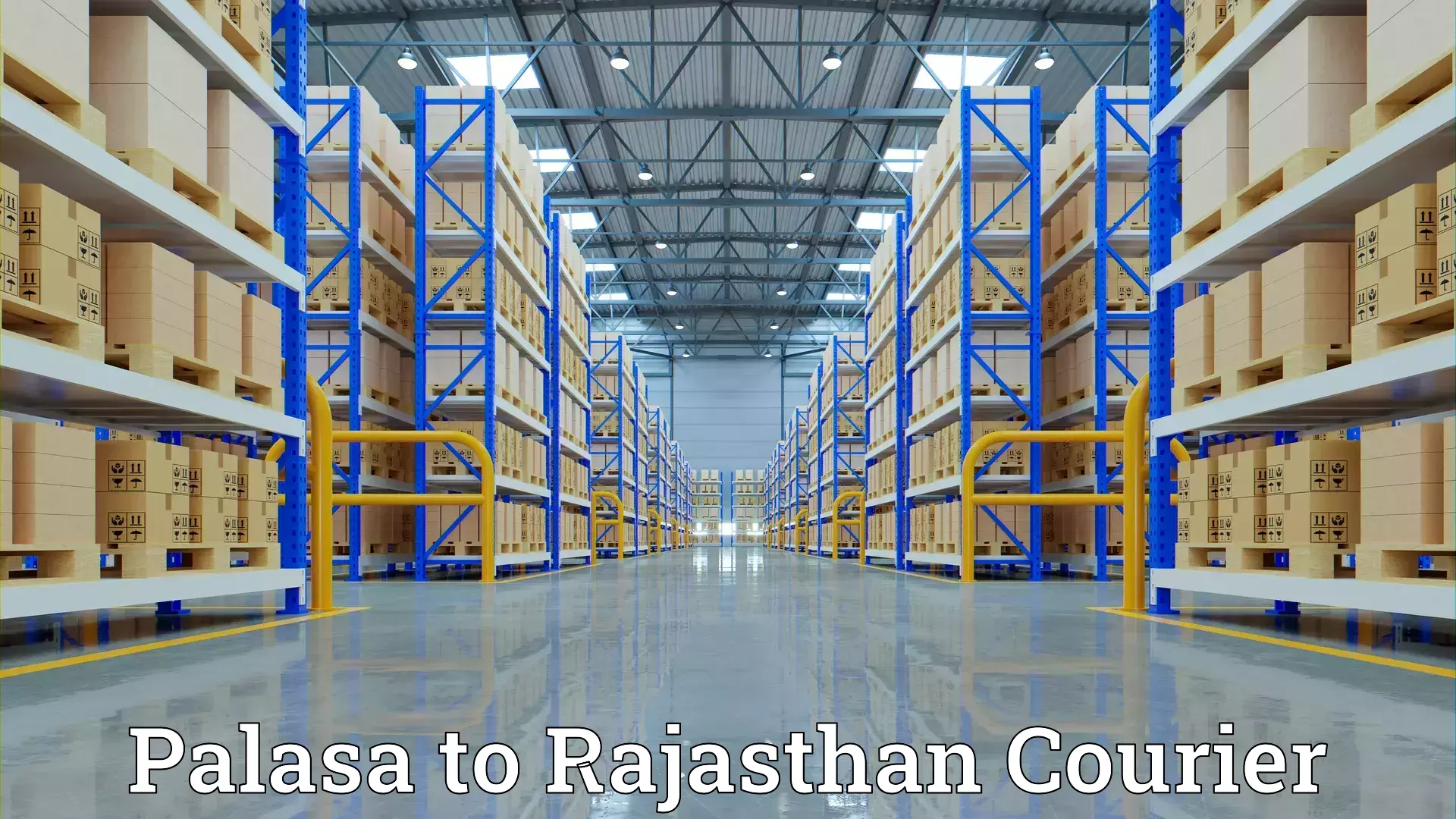 Comprehensive relocation services in Palasa to Madanganj Kishangarh