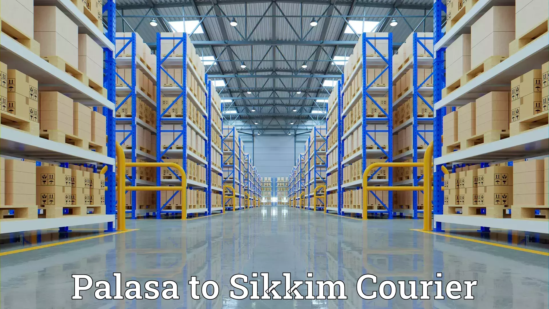 Efficient moving strategies Palasa to South Sikkim