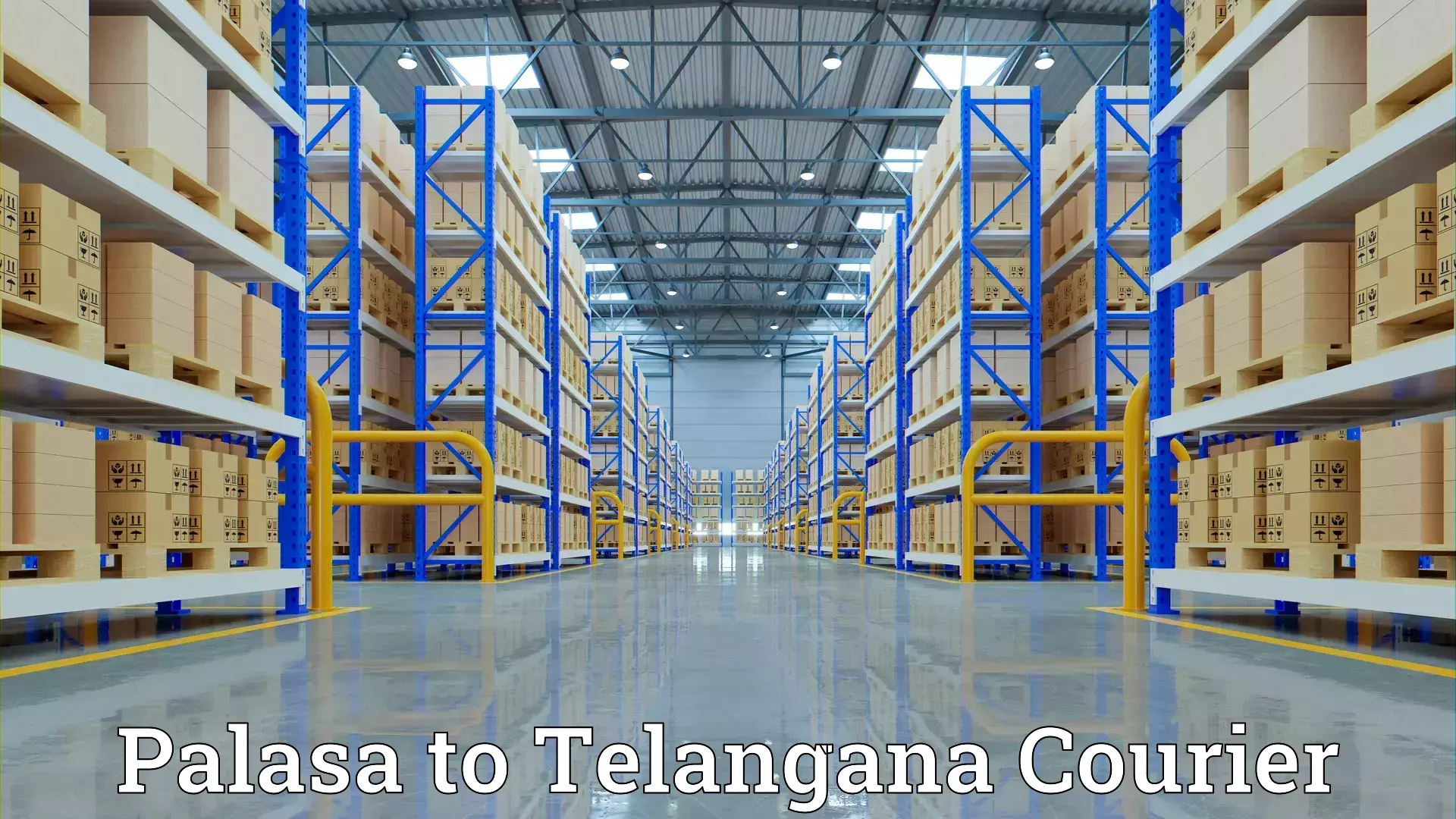 Custom moving solutions in Palasa to Telangana