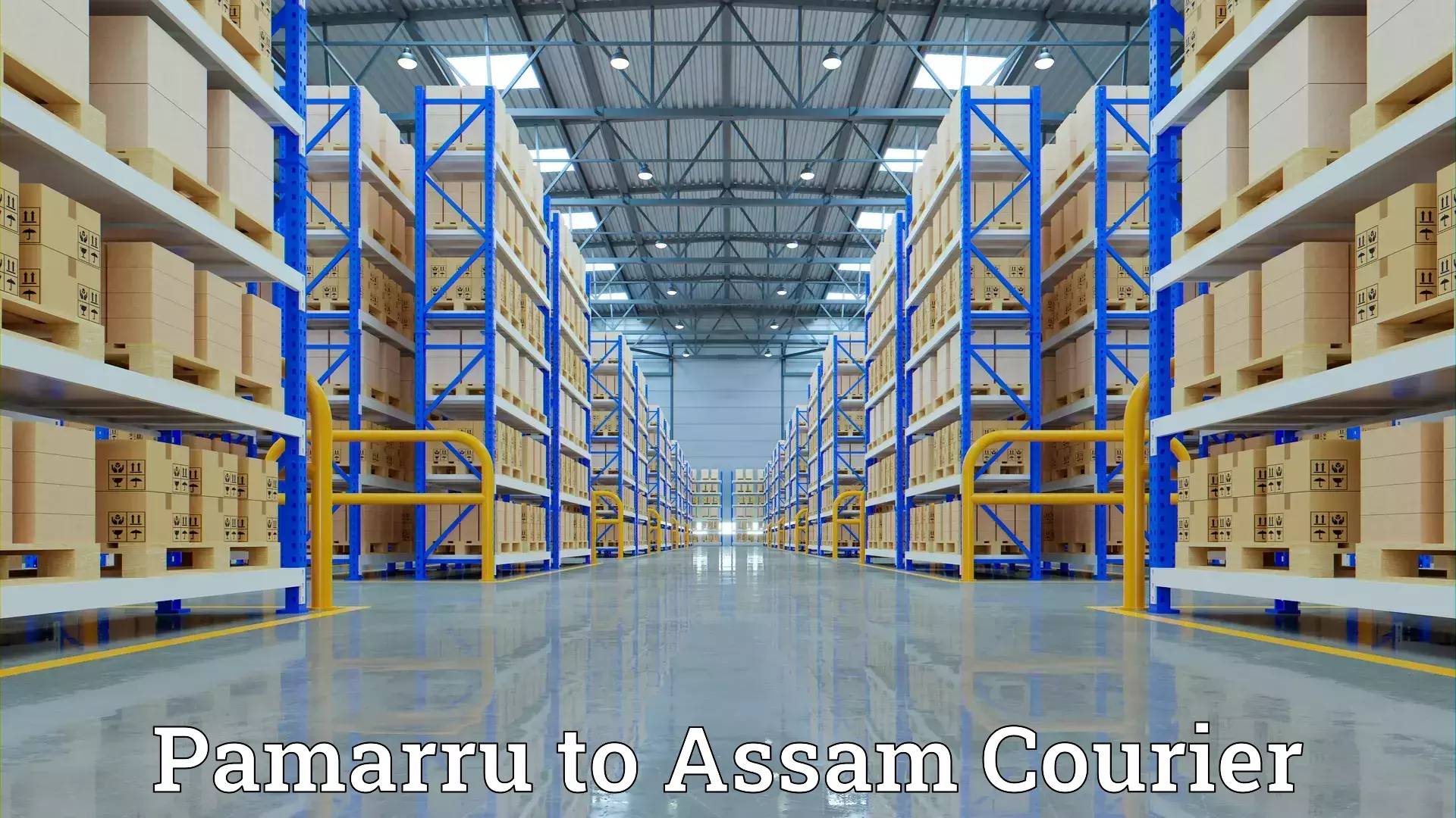 Furniture moving assistance Pamarru to Sonitpur