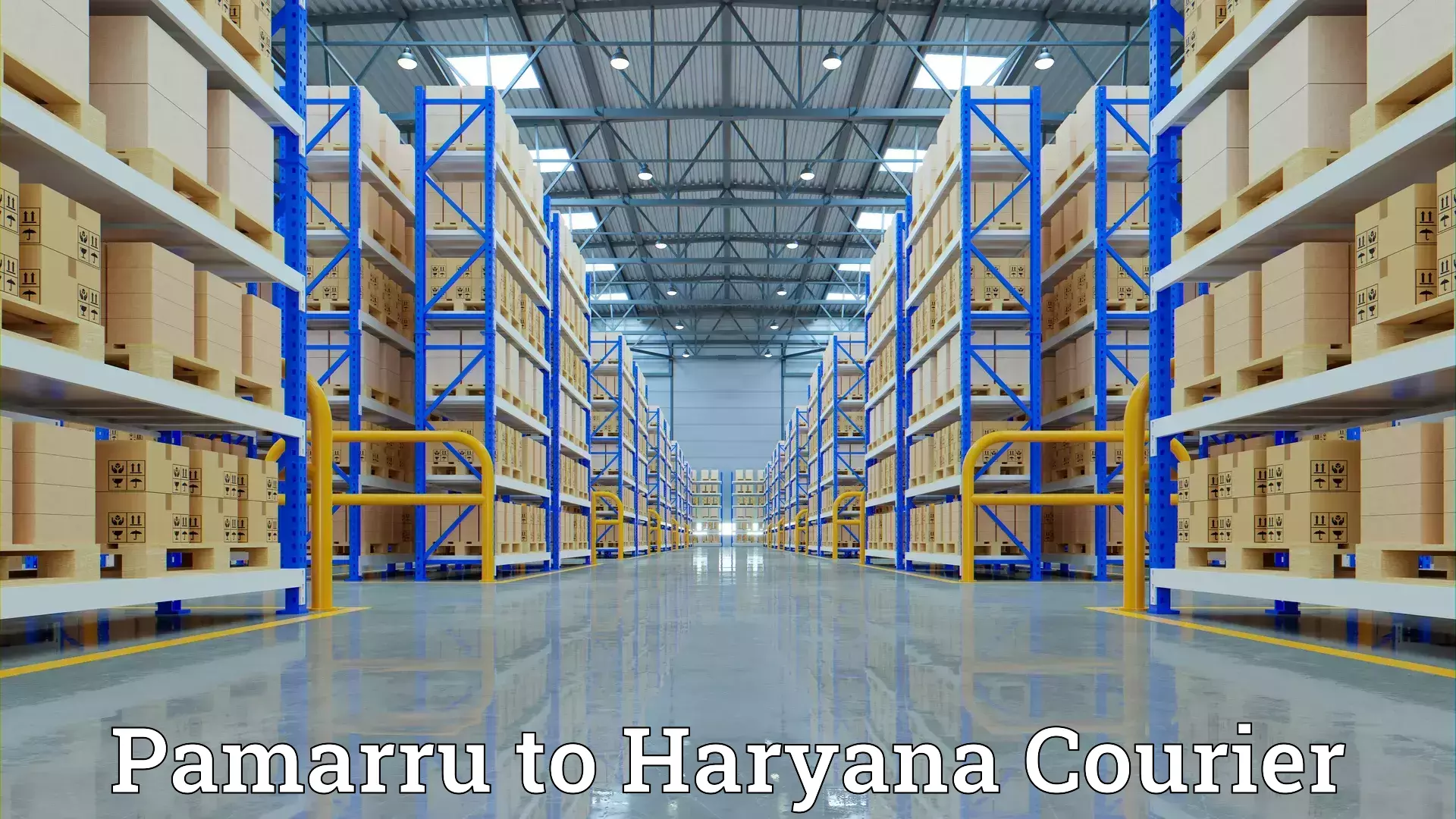 Household moving solutions Pamarru to Rohtak