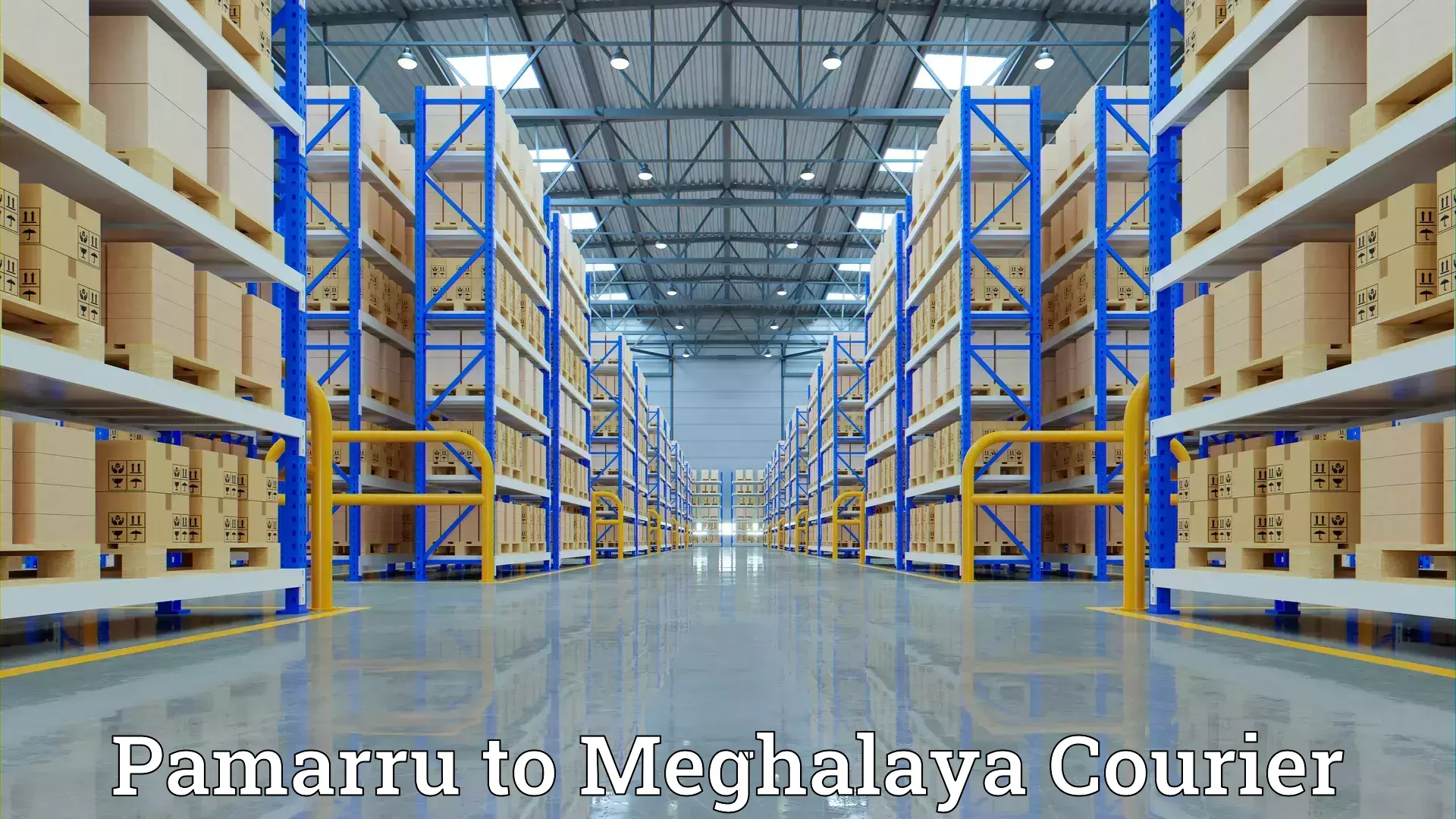 Comprehensive goods transport Pamarru to Meghalaya