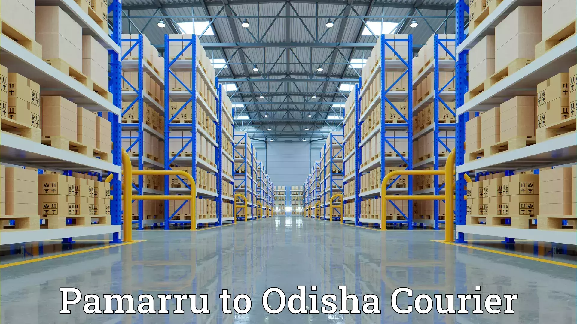 Furniture transport company Pamarru to IIT Bhubaneshwar