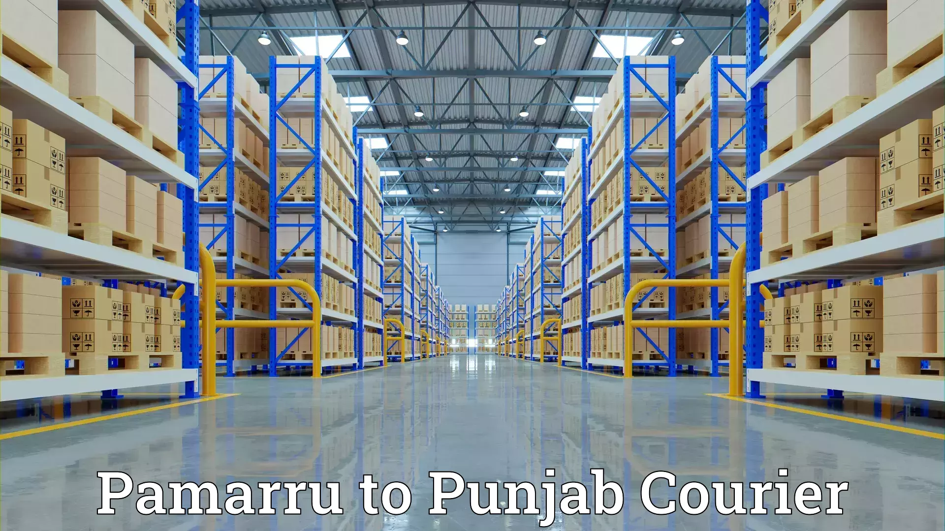 Specialized furniture moving Pamarru to Amritsar