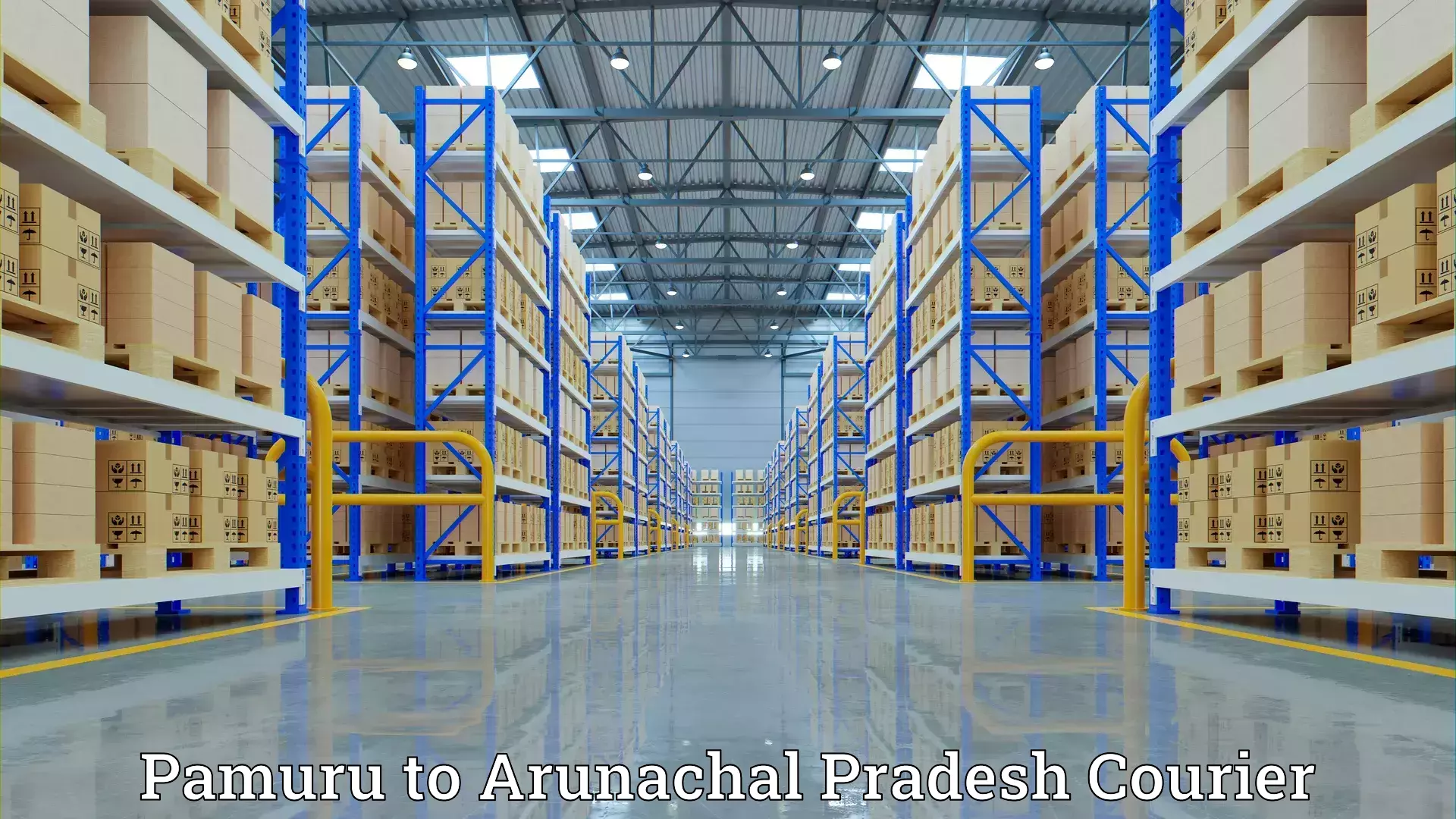 Expert goods movers Pamuru to Arunachal Pradesh