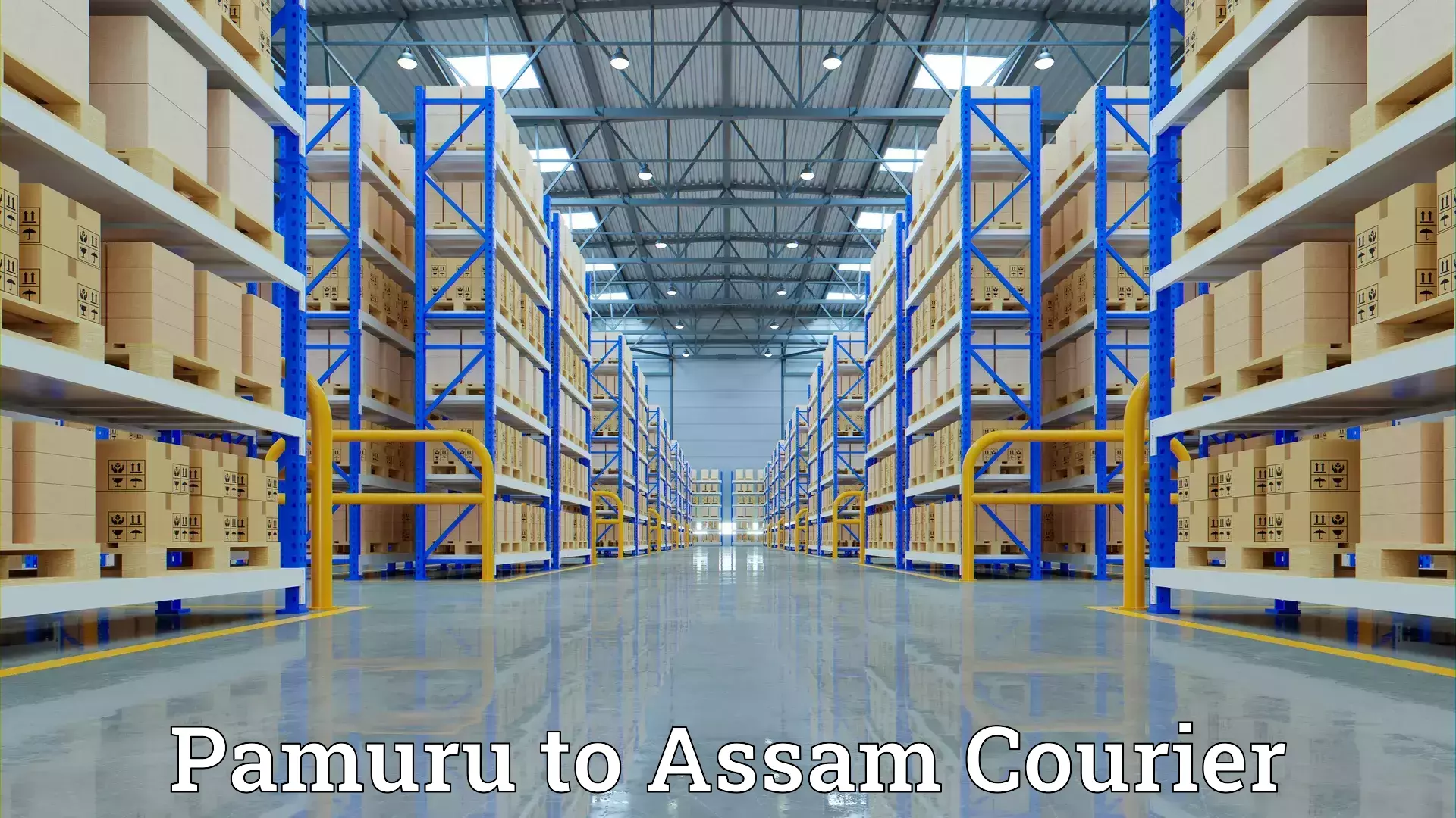 Reliable goods transport Pamuru to Guwahati University